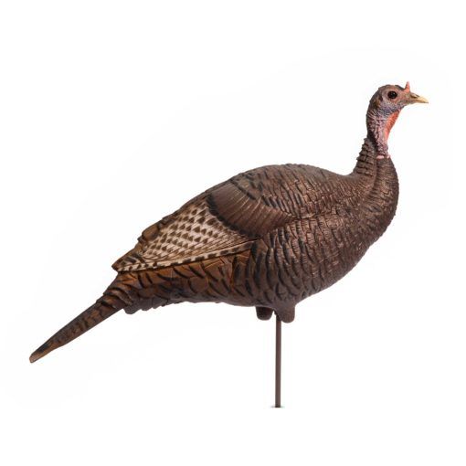 Upright Hen by Dave Smith, best turkey decoys concept. 