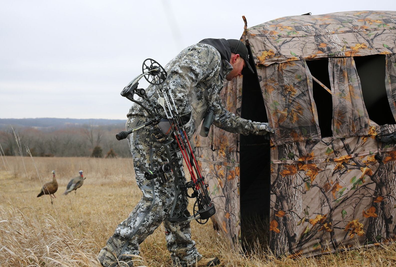 A hunter enters a ground blind with turkey decoys nearby. 