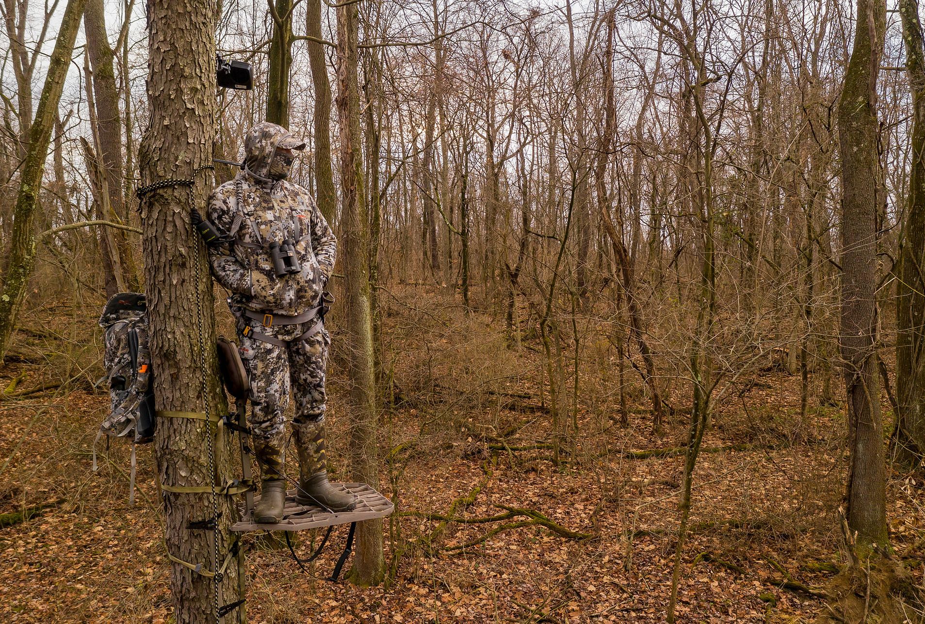 A hunter in a tree stand looks into the distance, hang-on vs climber treestand concept. 