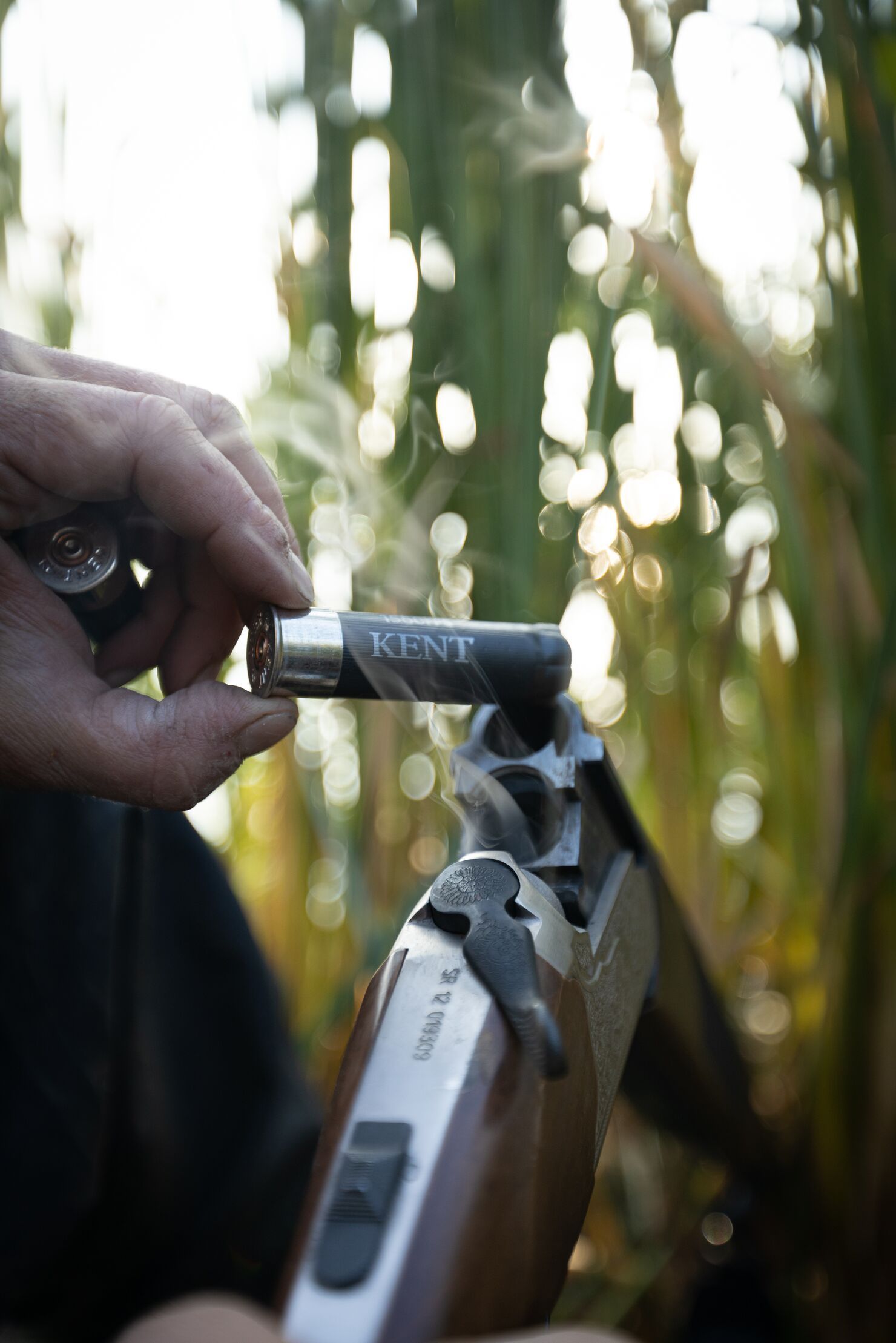 Close-up of a hunter replacing a shell in a shotgun, goose hunting concept. 