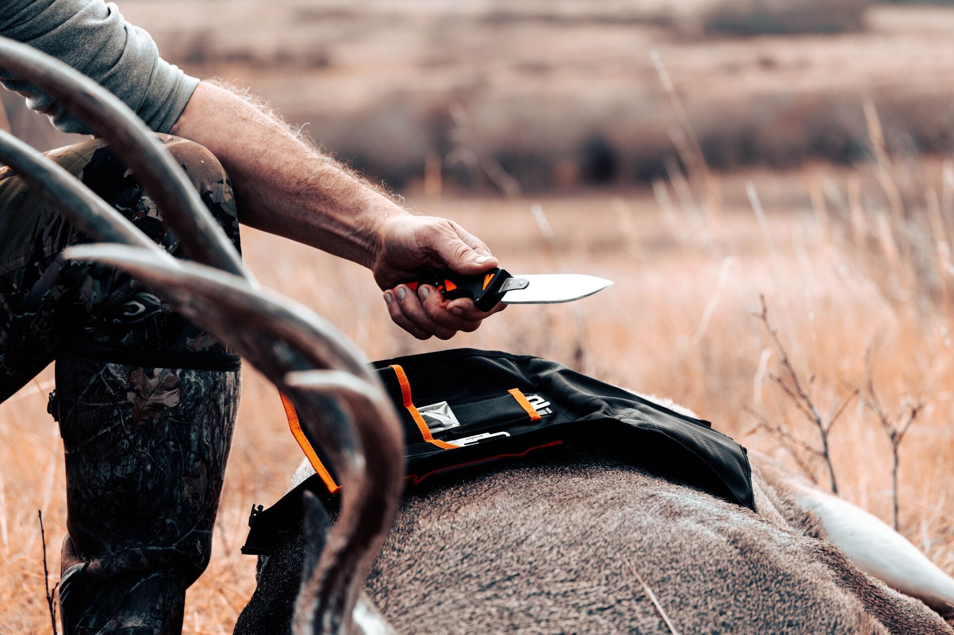 A hunter holds a knife over an animal before field dressing, choose hunting knives concept.  