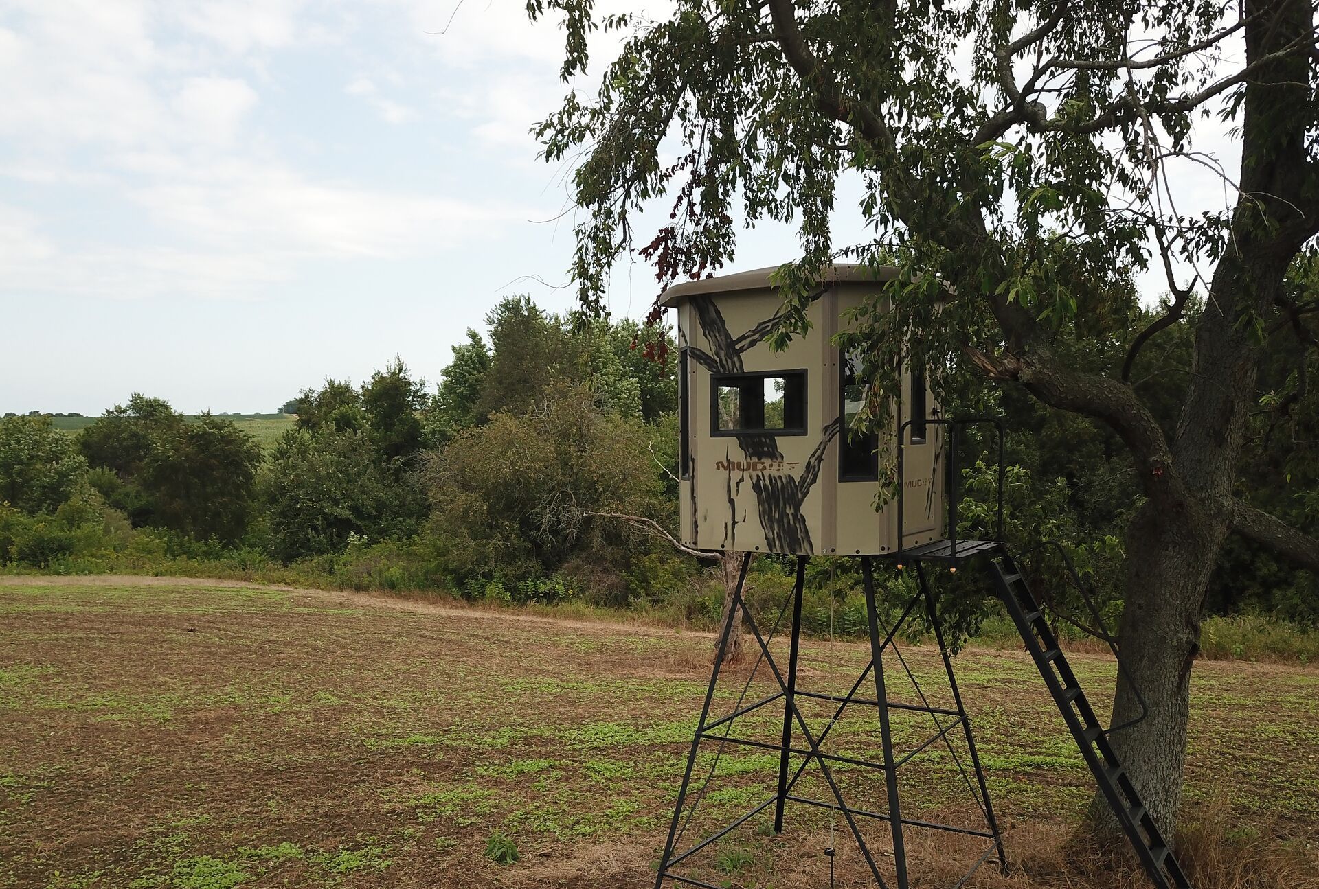 An elevated hunting blind at the edge of a field, deer season Kentucky concept. 