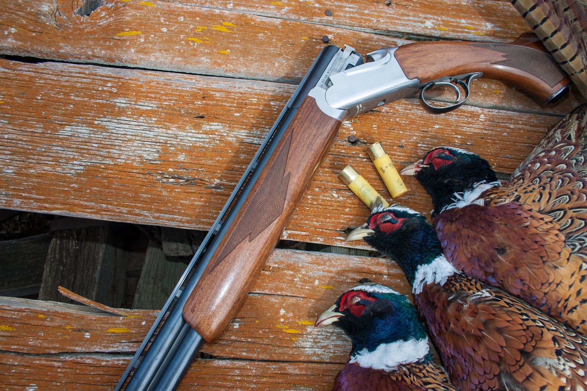 20 gauge shotgun next to pheasants. 