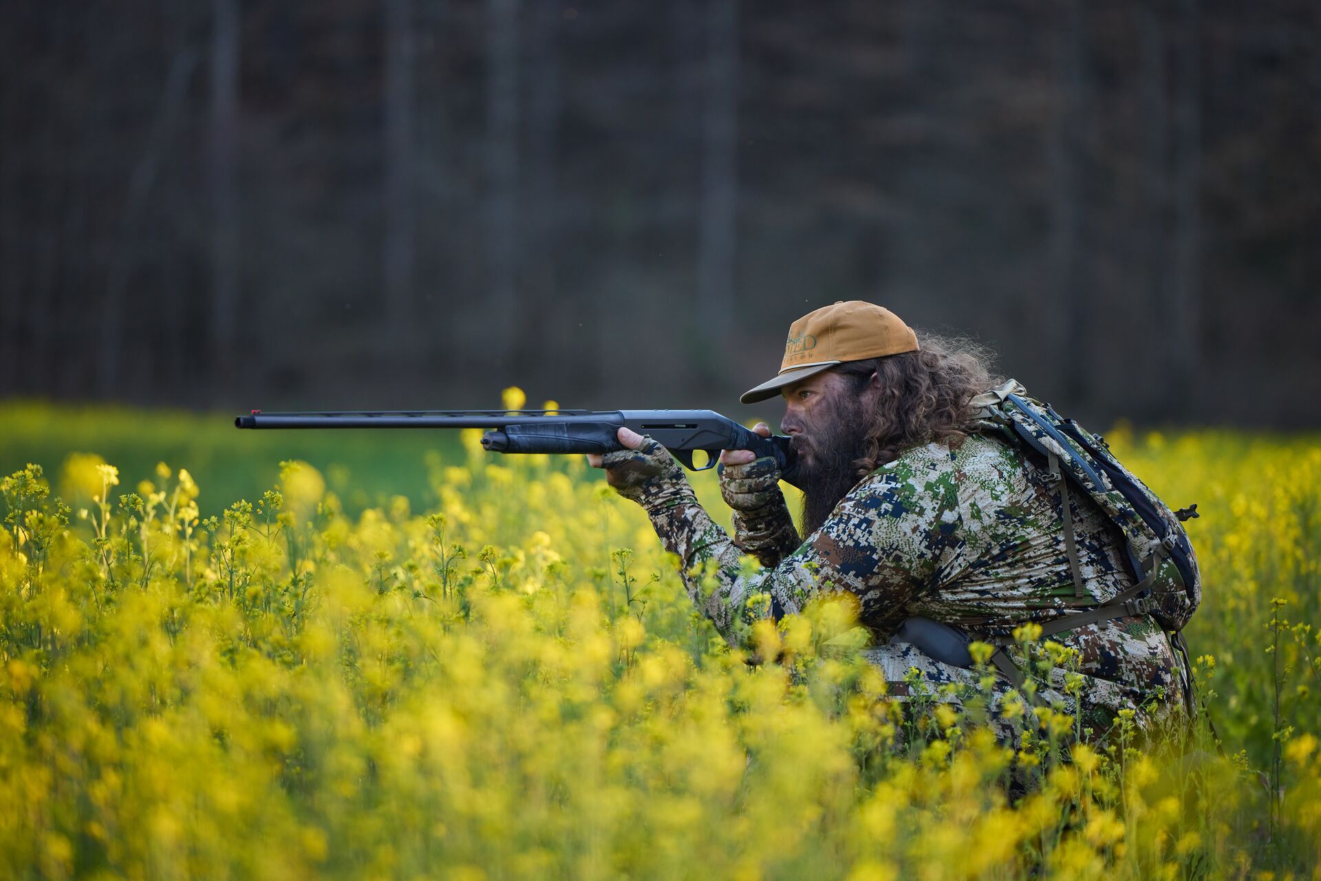Hunter kneels and aims shotgun in field, bet caliber for turkey hunting concept. 