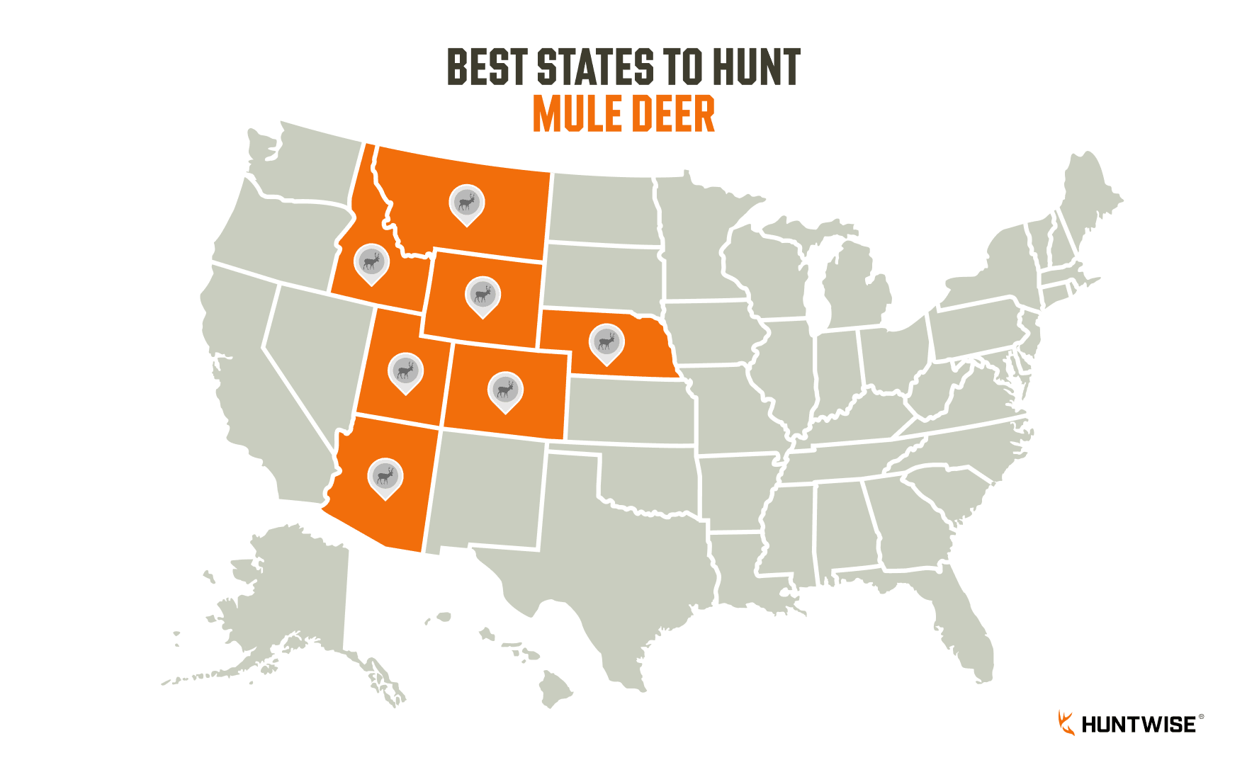 Graphic showing the best states to hunt mule deer in the U.S.