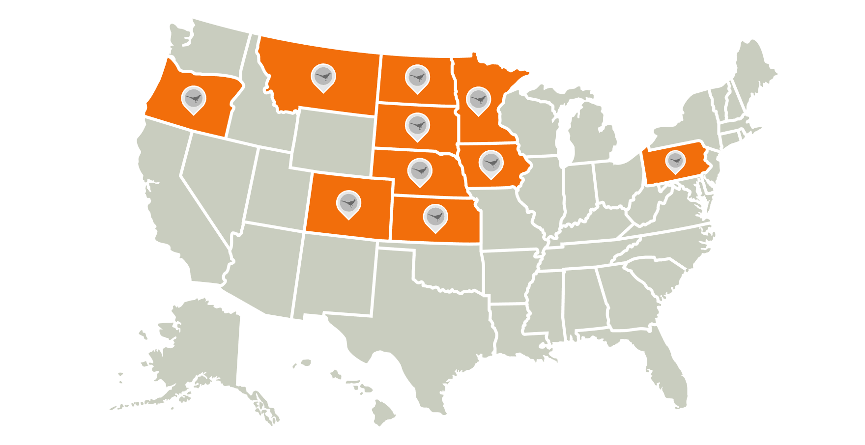Graphic of a map showing the best states for pheasant hunting.