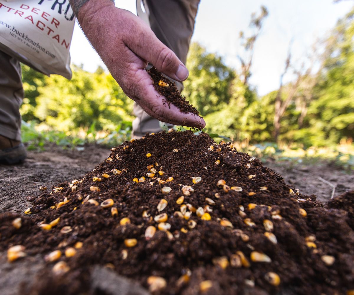 Close-up of a hand and deer attractant in the field, deer feed concept. 