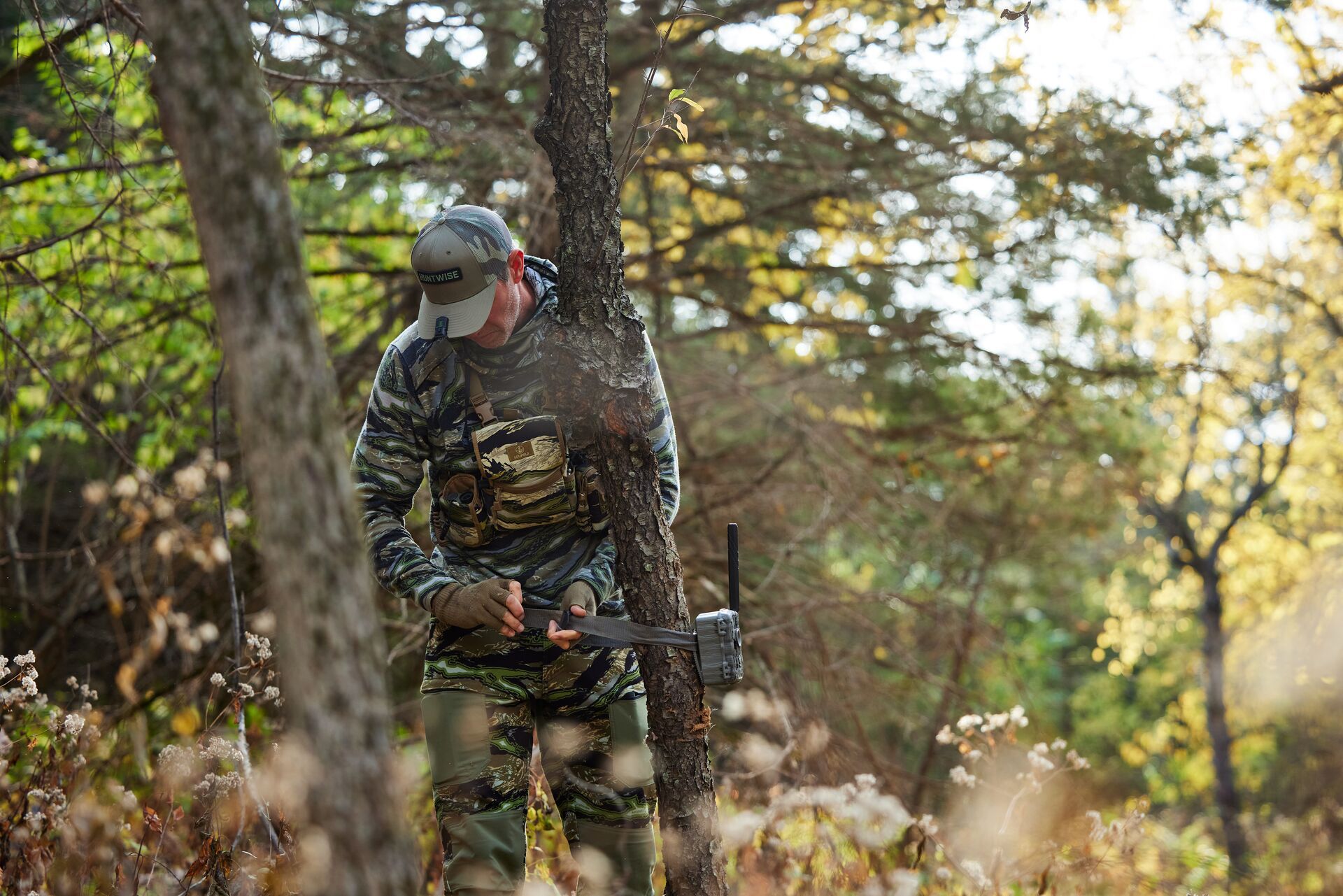 A hunter straps a trail cam to a tree, track deer movement during the rut concept.