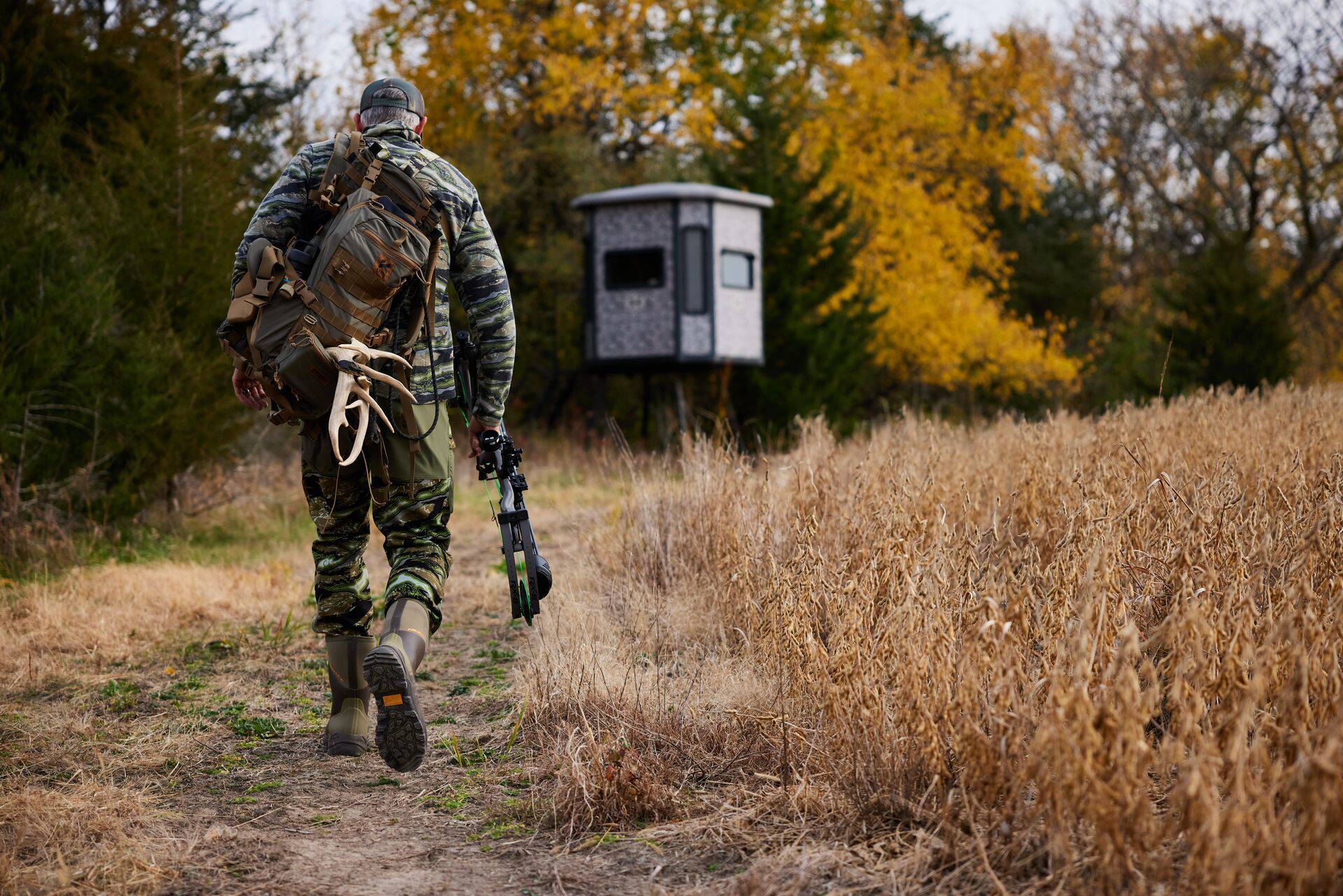 A hunter walks toward a hunting blind in a field. 