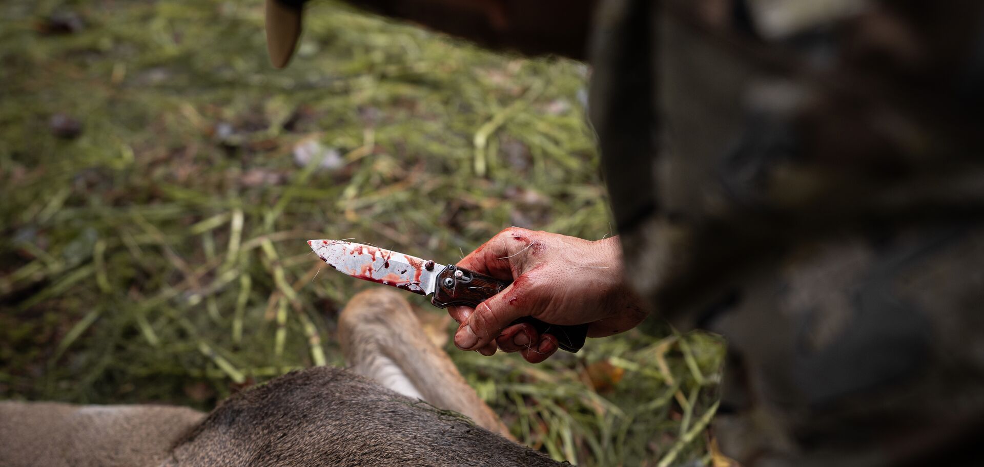 Close-up of knife in hunter's hands, best knife for hunting concept. 