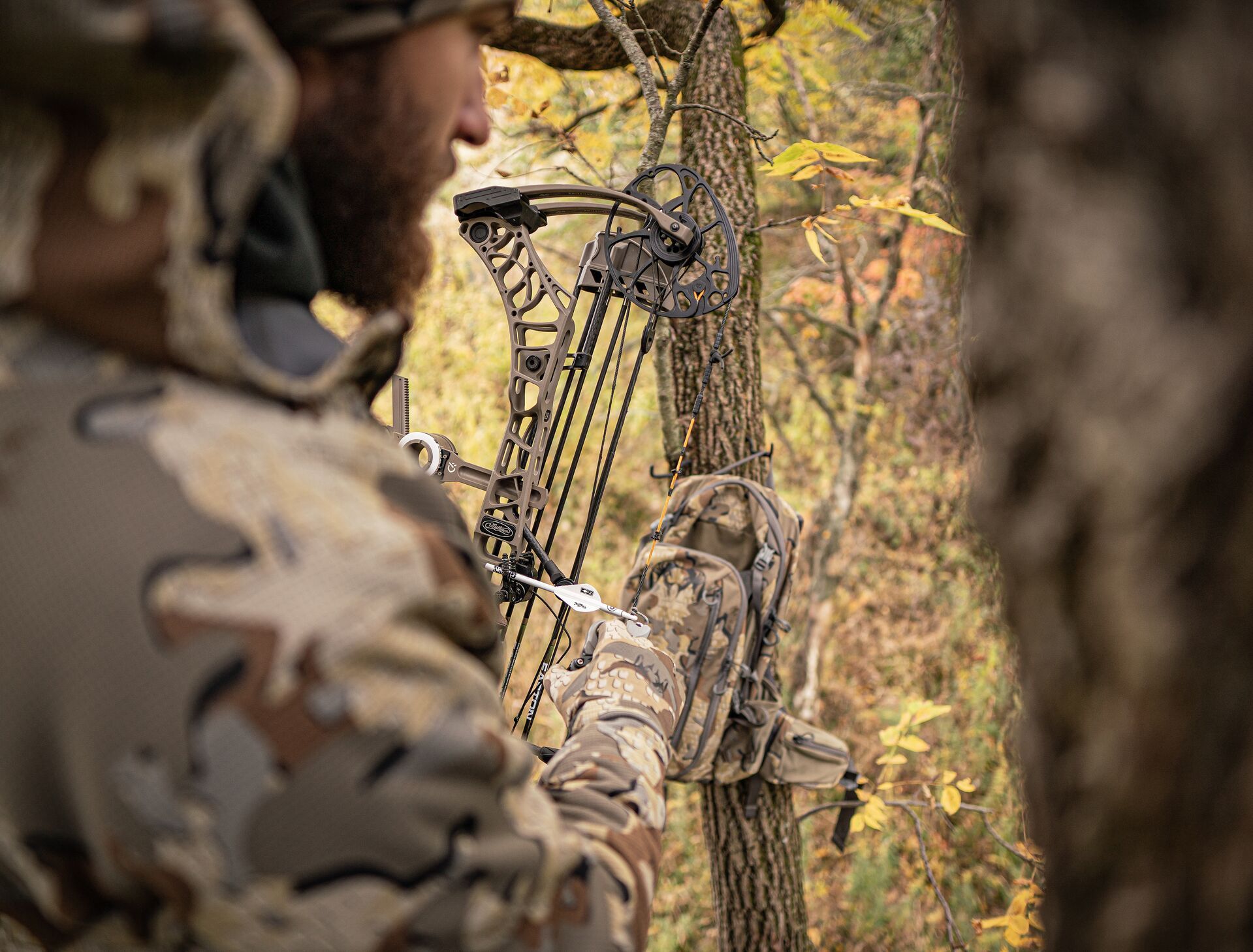 Hunter with bow in a blind waiting, pre rut deer hunting concept. 