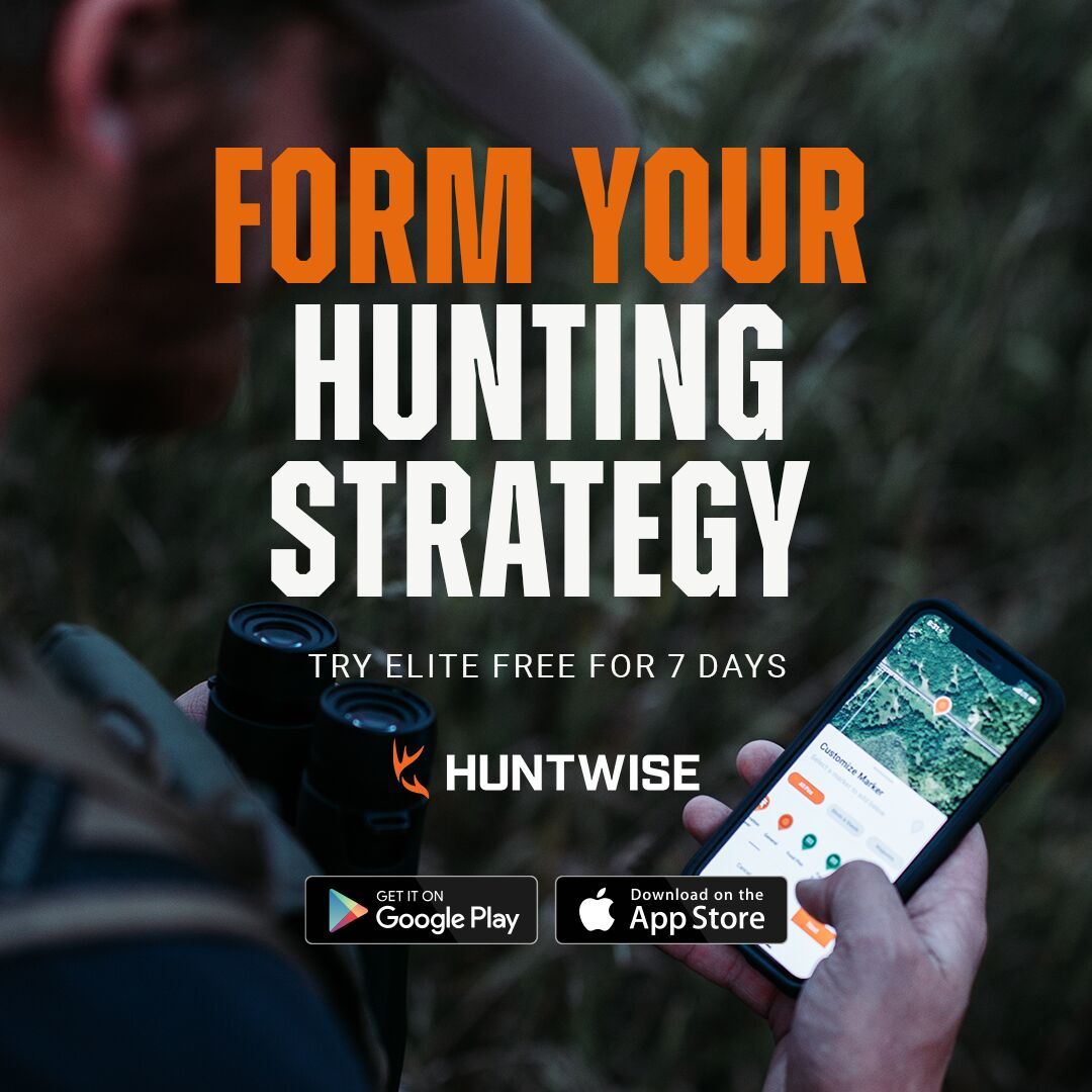 Graphic showing "form your hunting strategy" using the HuntWise hunting app. 