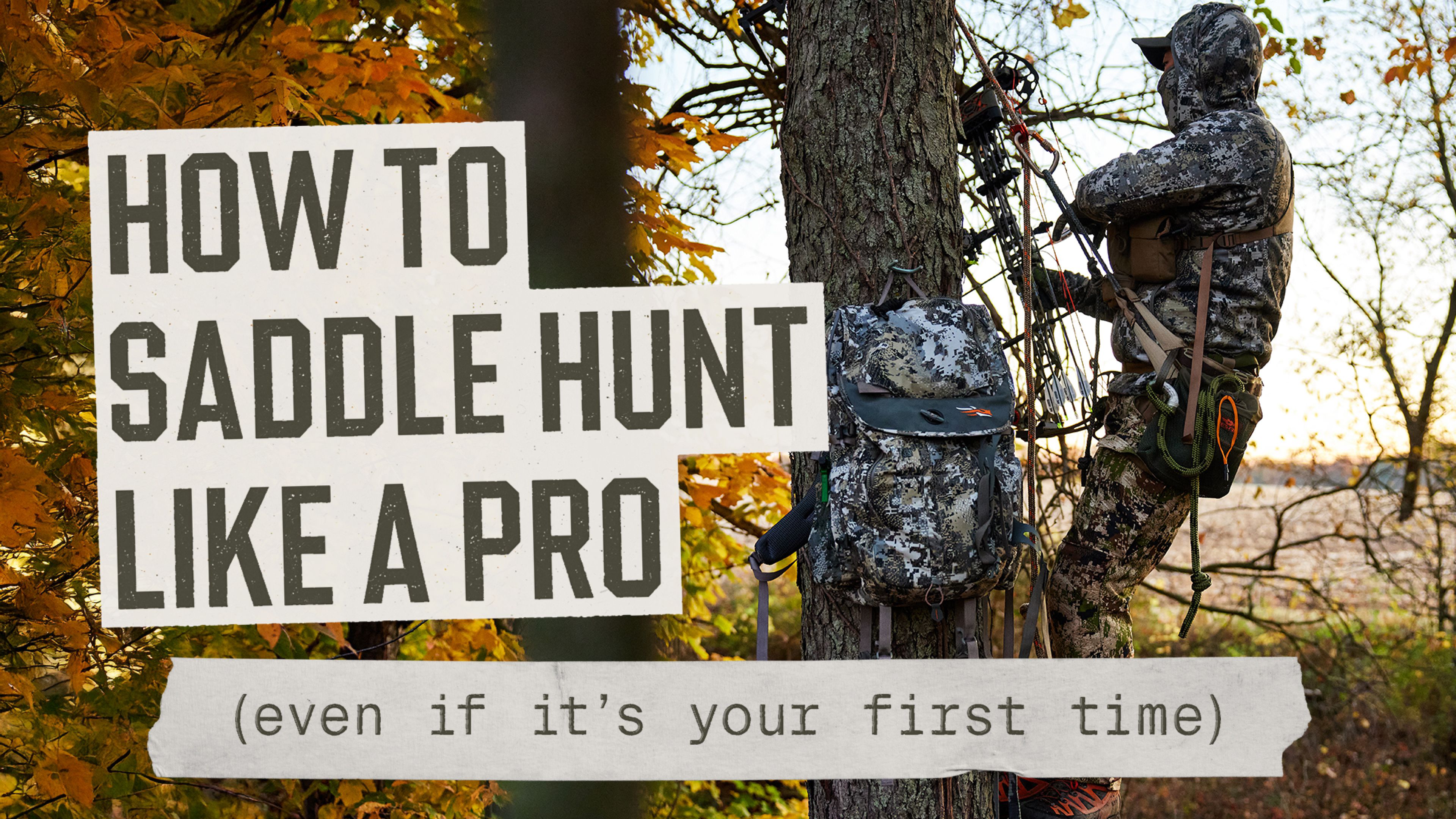 Preview image for saddle hunting series from HuntWise and Field Guide+.