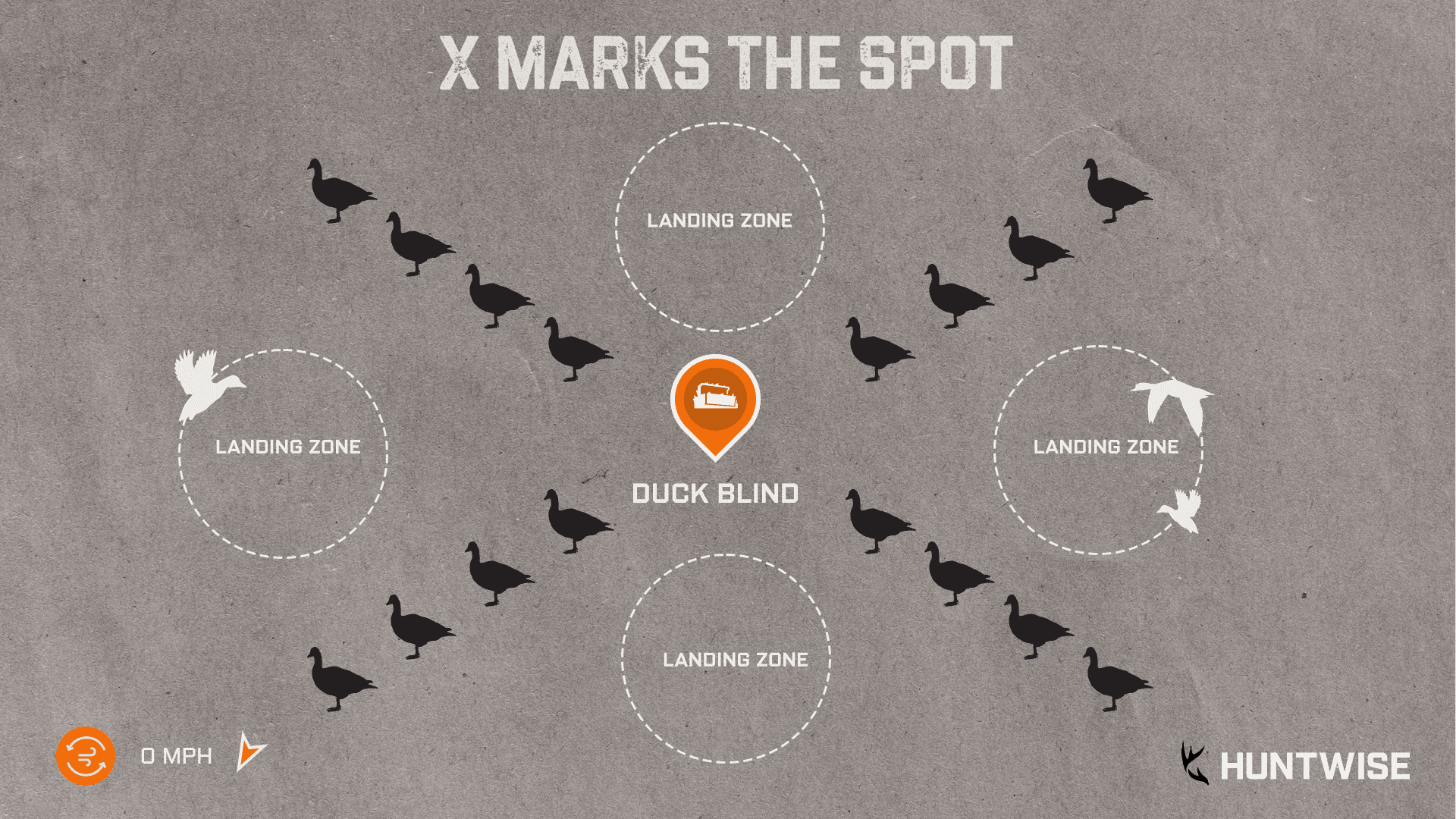 Illustration of the X or Cross duck decoy spread. 