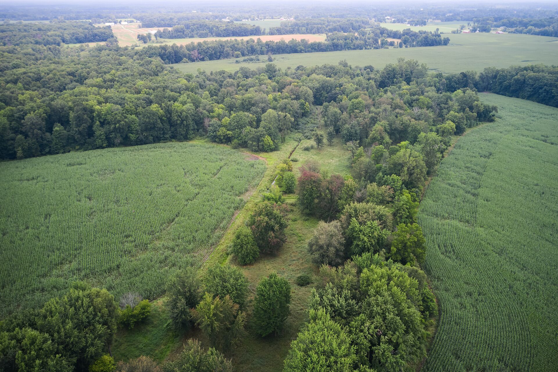 Aerial view of hunting land with trees, find free hunting land near me concept. 