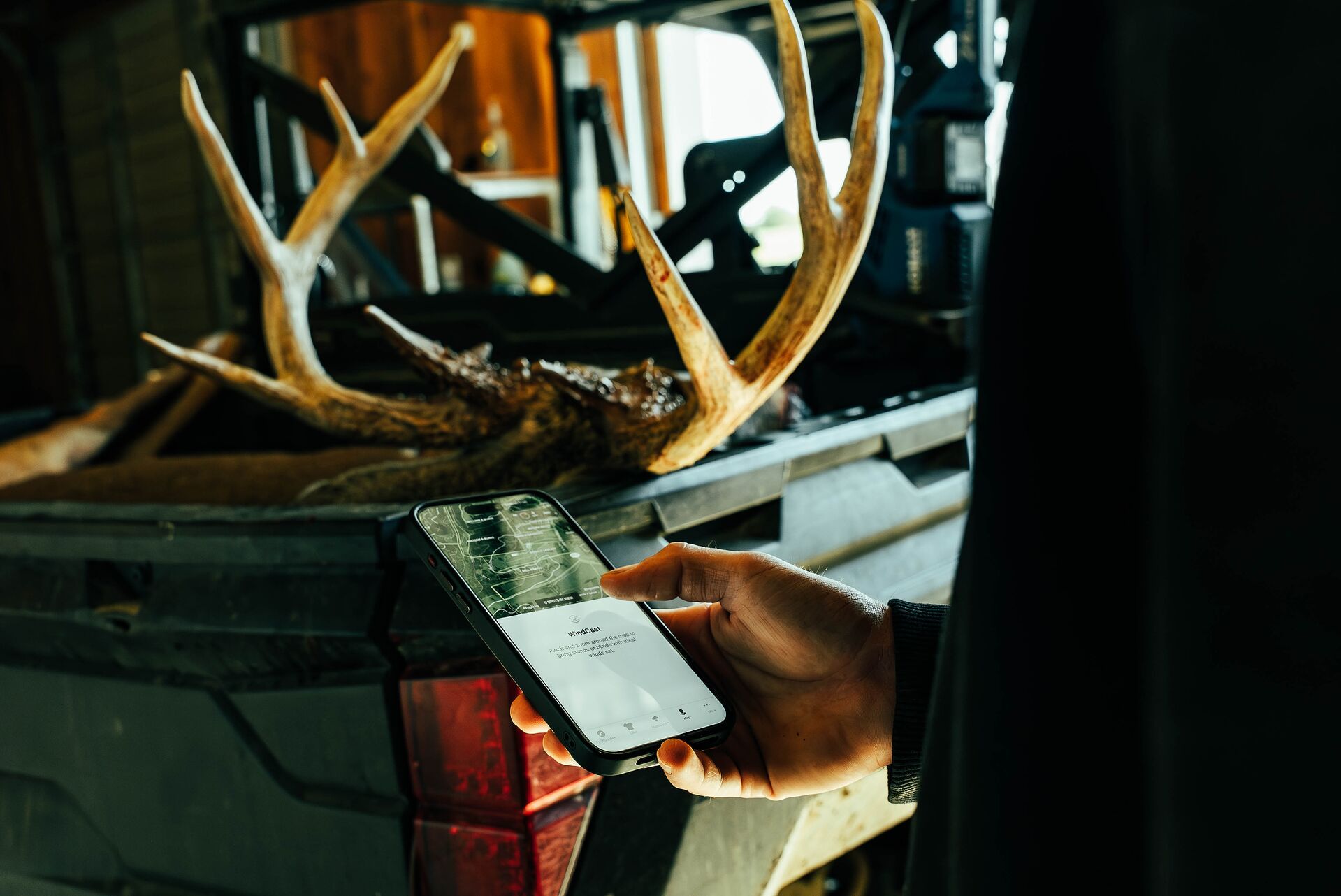 Buck deer in back of truck hunter with phone, deer season Wisconsin concept. 