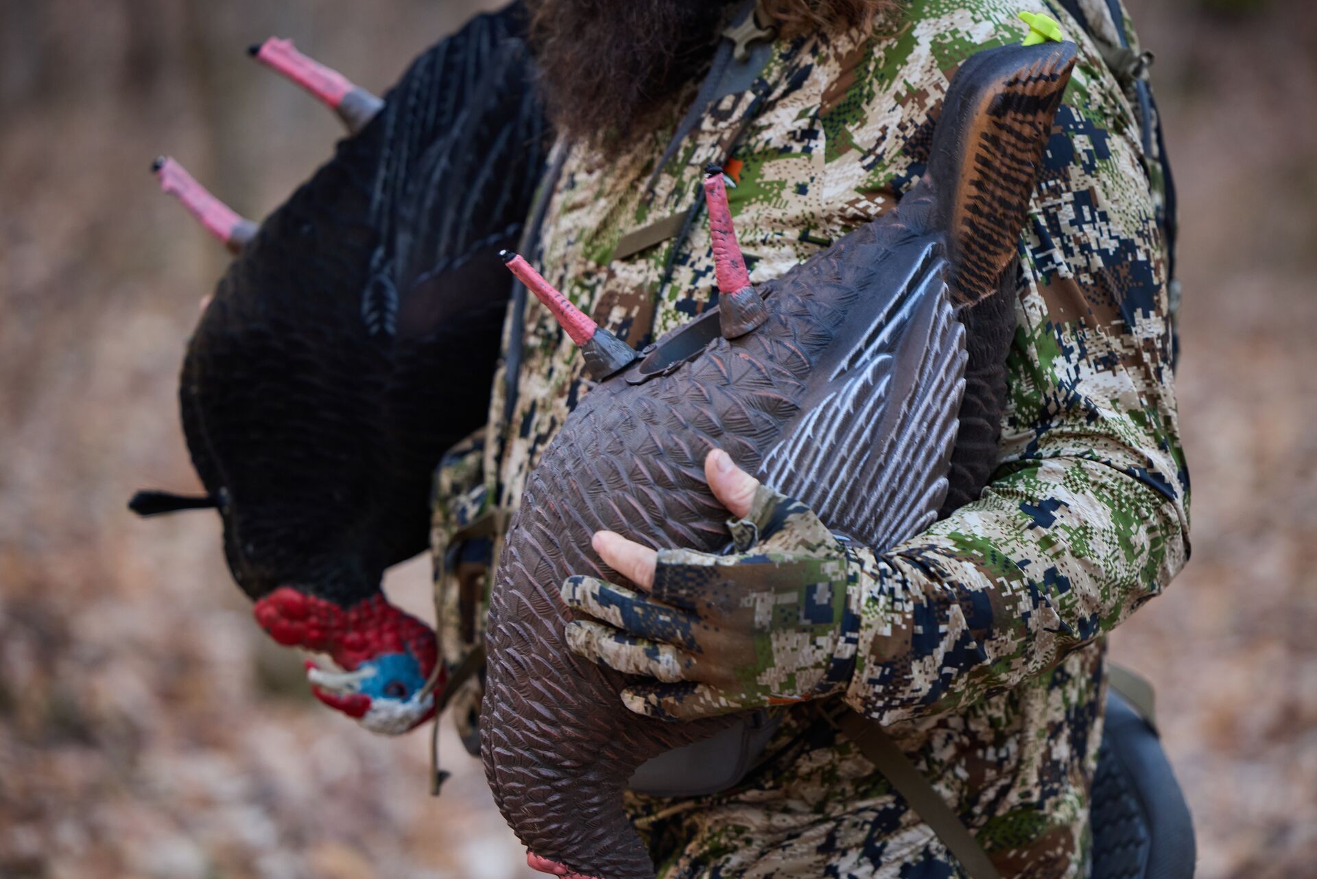 Close-up of hunter carrying two turkey decoys.