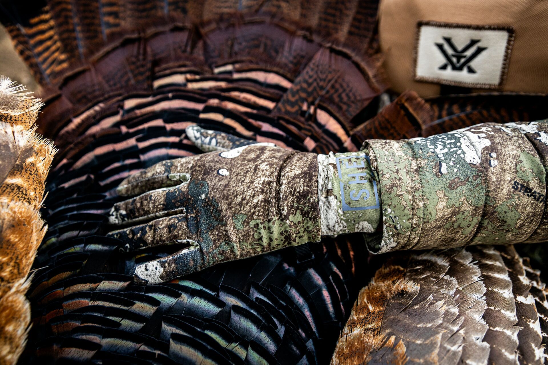 Close-up of turkey in hunter's lap after hunt, NC turkey season concept. 