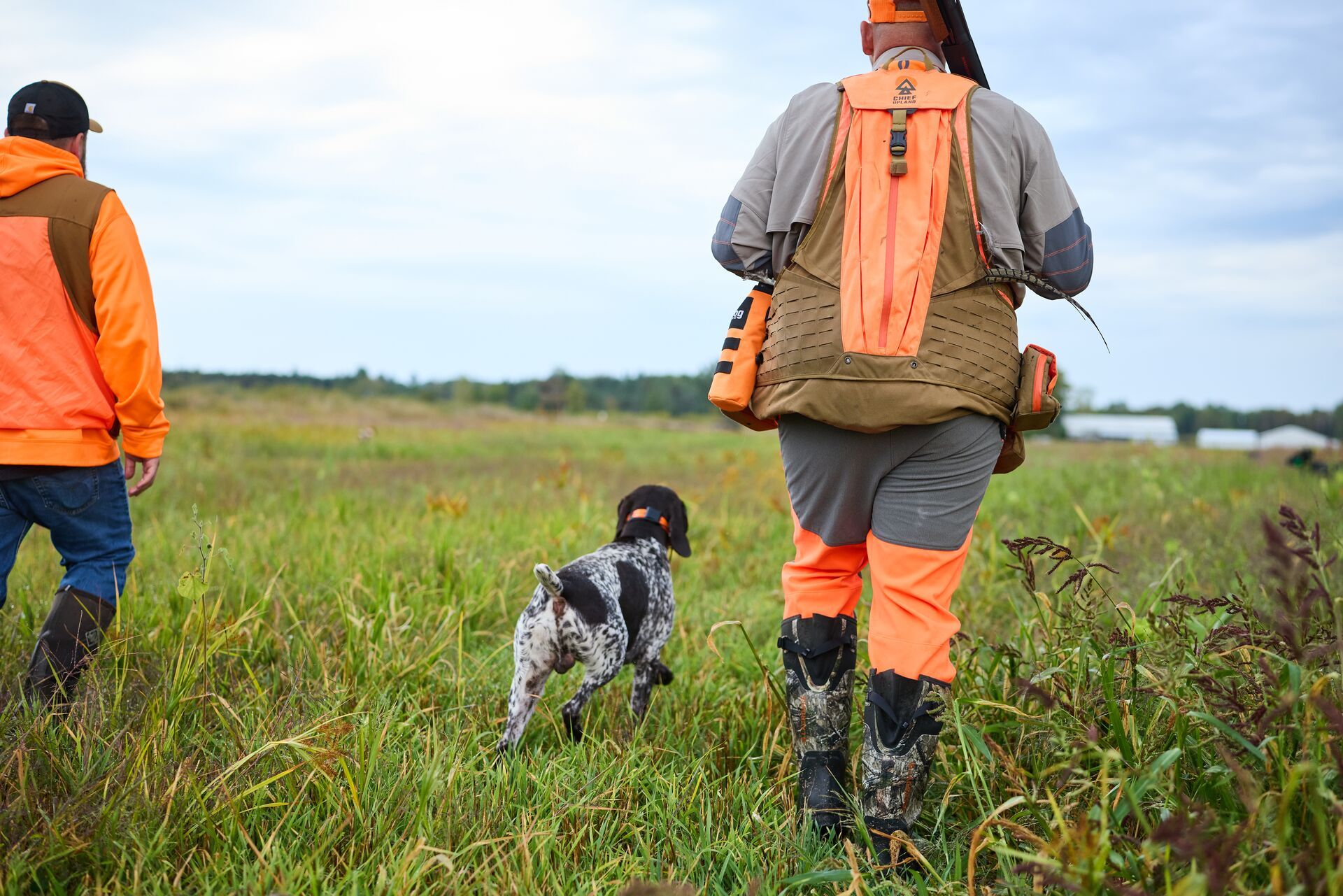 Hunters in blaze orange with dog in field for hunt, weather tips for pheasant hunting concept.