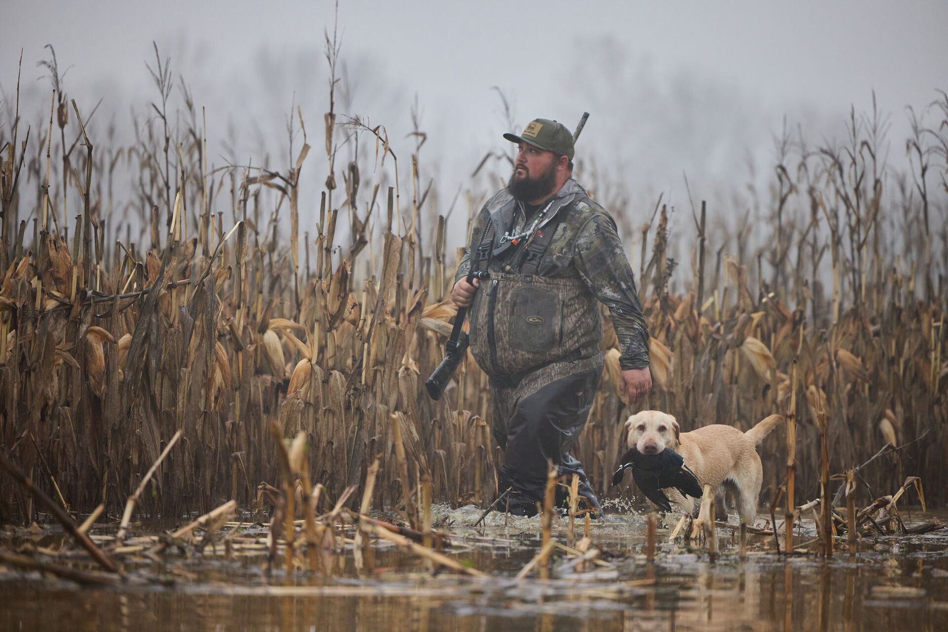 Duck hunter in water with dog and shotgun.