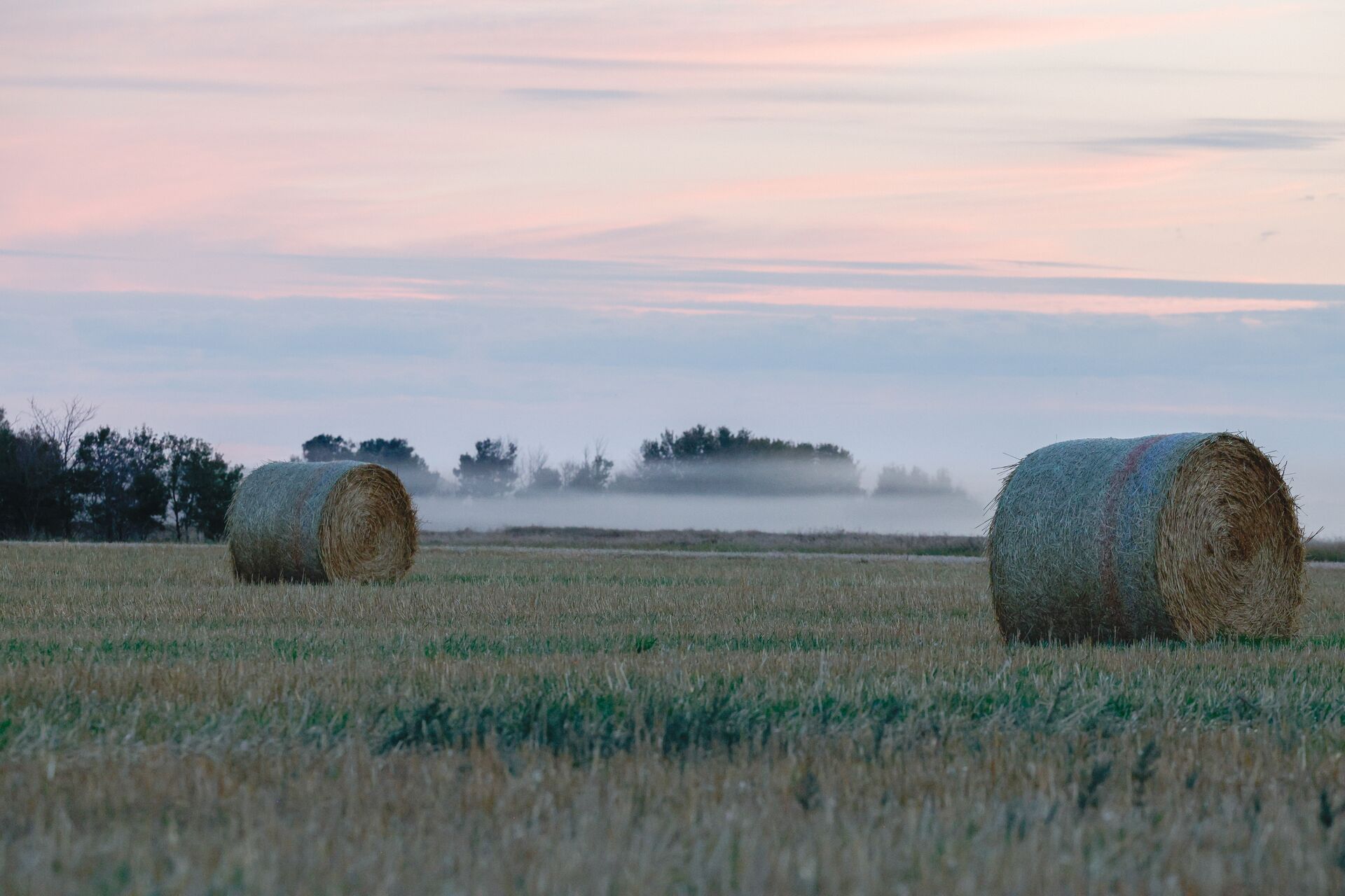 A field with bales of hay, hunting on private property concept. 