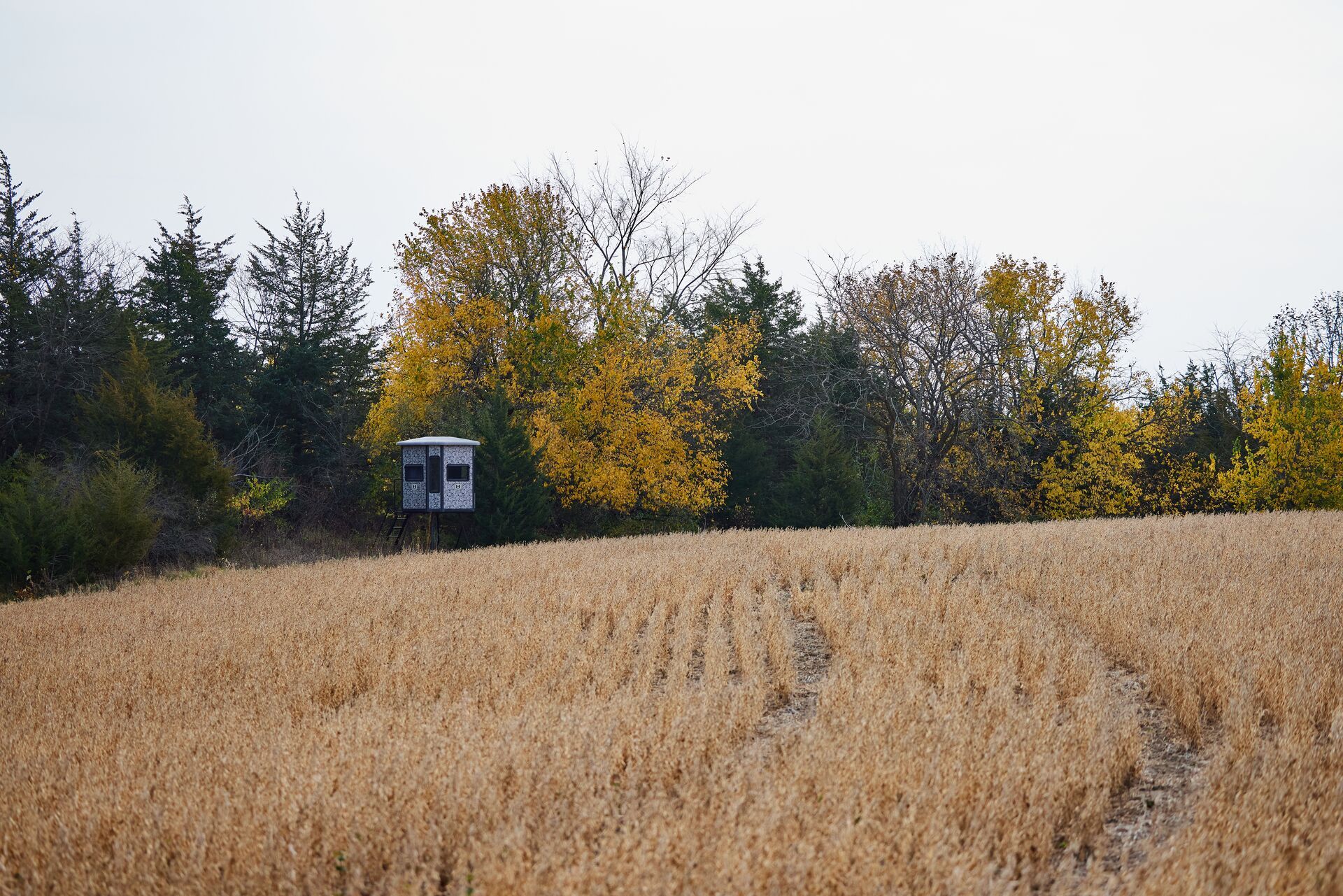 Field with hunting blind at the edge of woods, where can I hunt deer concept. 