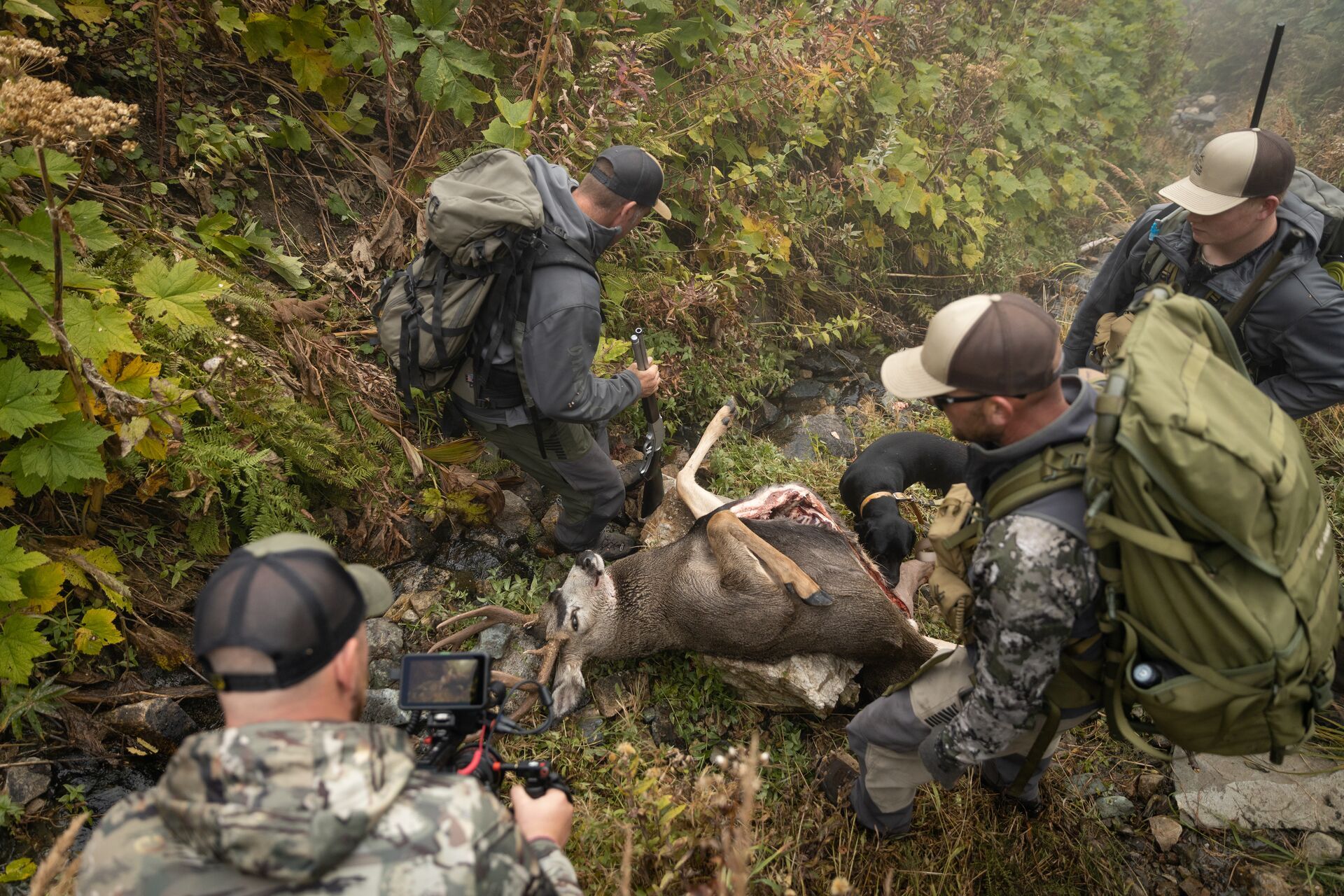 Group of hunters around a mule deer on the ground after a hunt. 