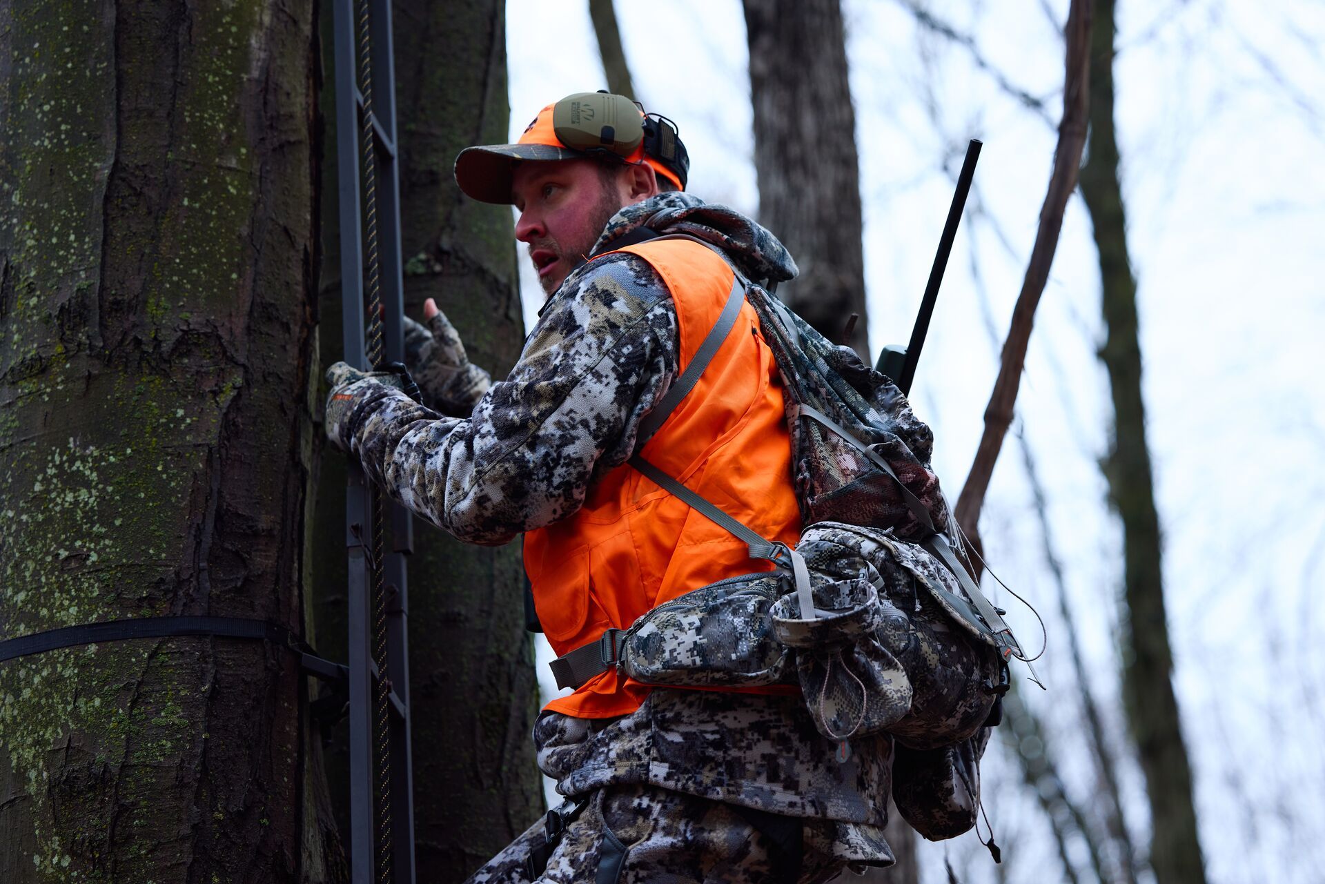 A hunter climbs a tree stand, stand placement based on wind direction concept. 