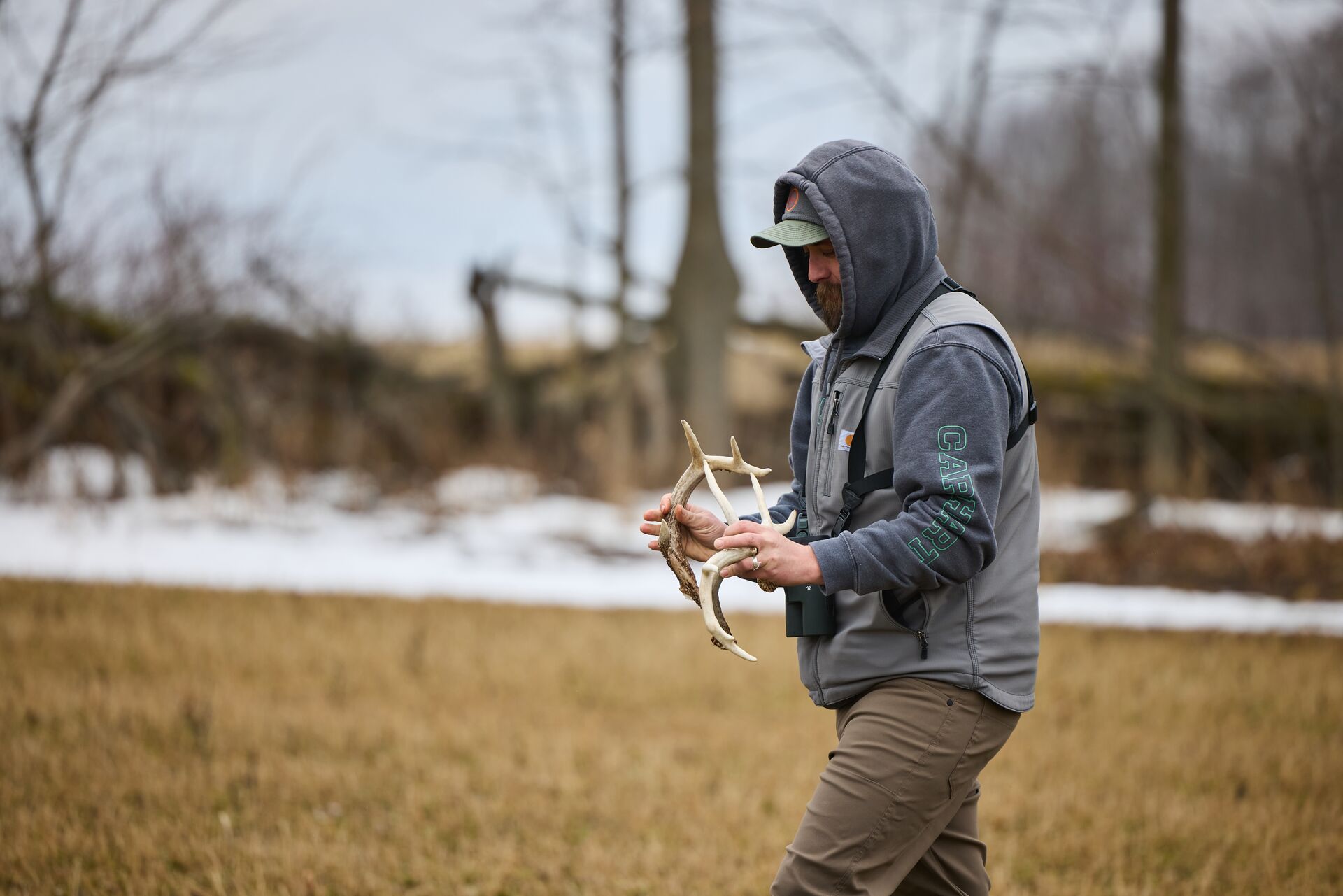 A hunter holds shed deer antlers while searching a field.