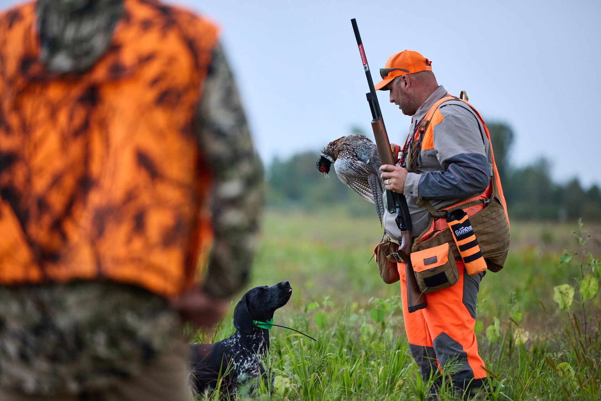 Hunter holds pheasant with dog nearby, Texas pheasant season concept.