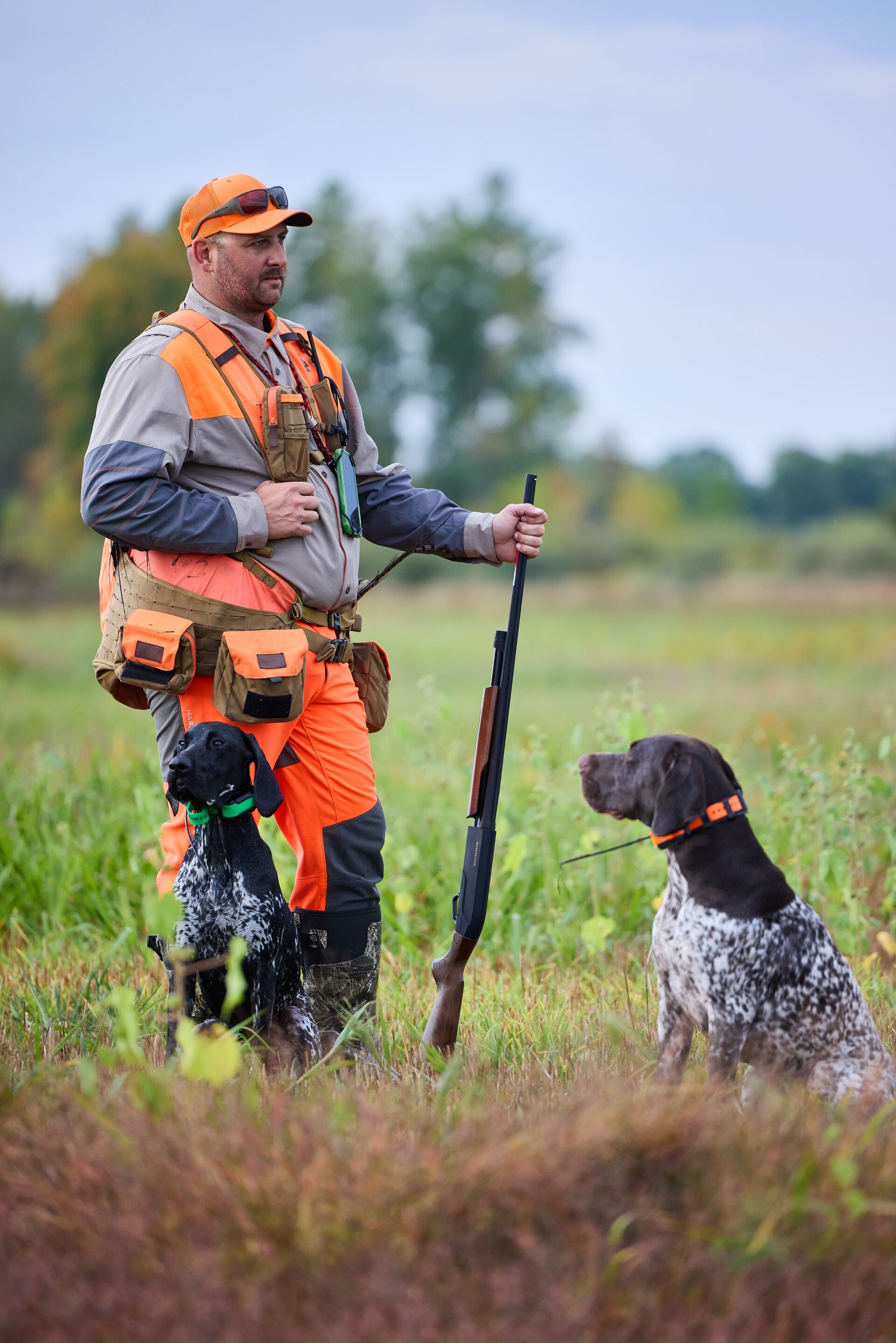 Hunter wearing blaze orange with dog for upland bird hunt.