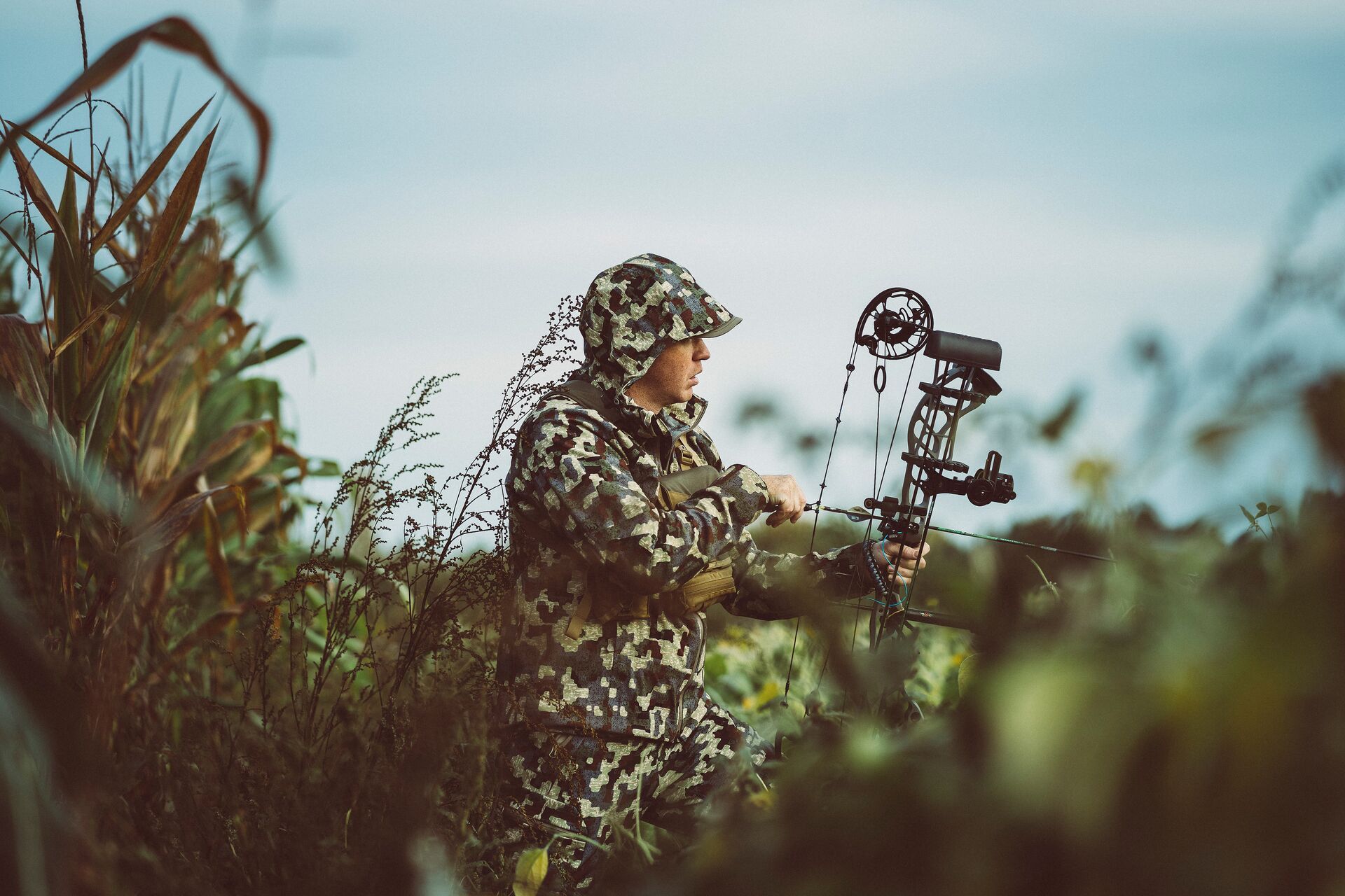 A hunter in camo about to draw a bow, using small game hunting arrows concept. 