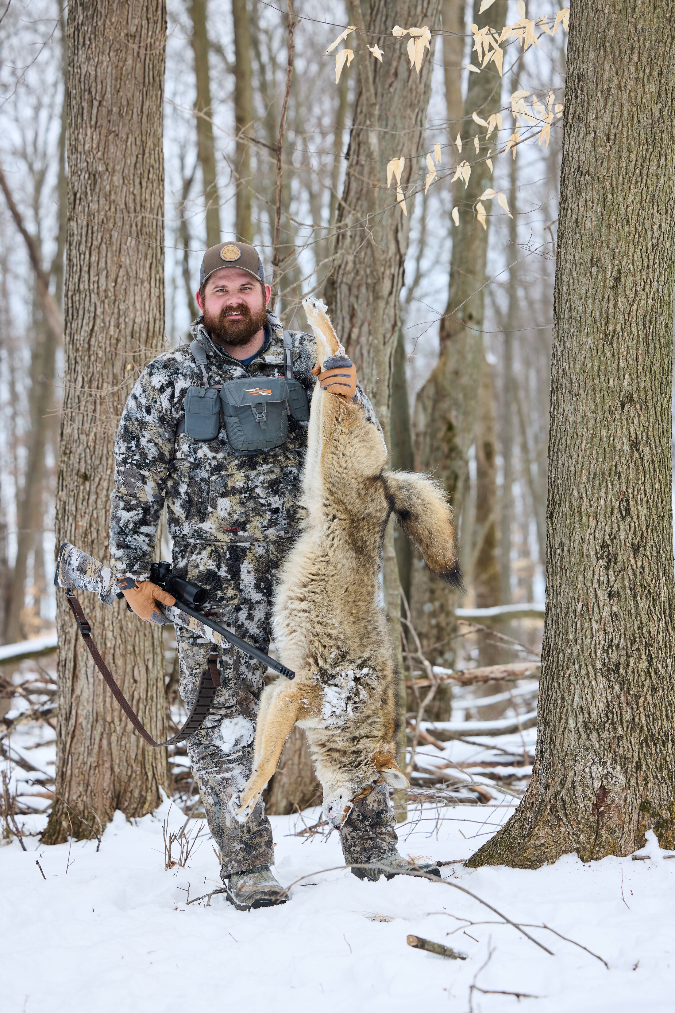 Hunter in the cold holds up coyote after hunt, best times to hunt coyote concept. 