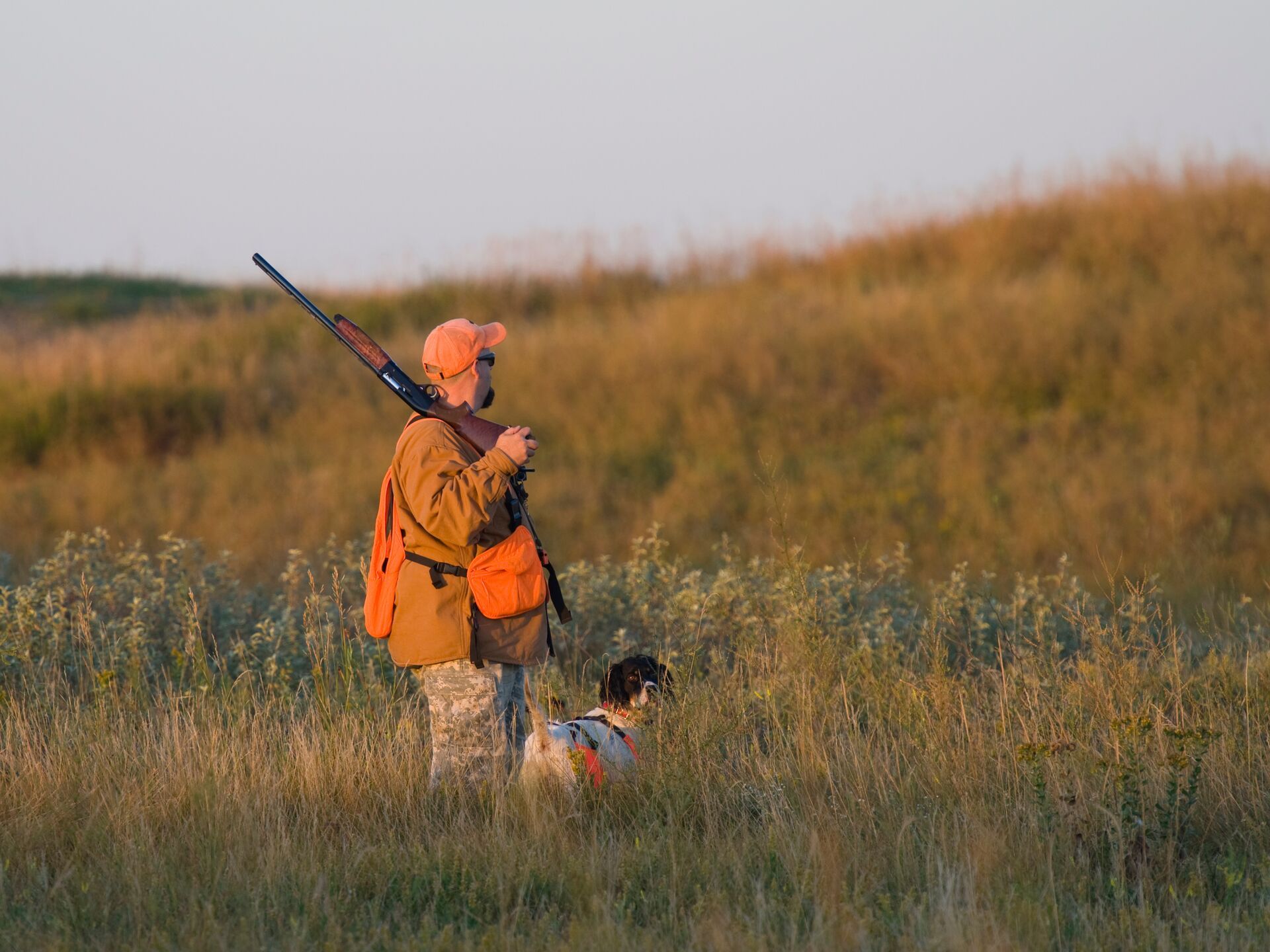 FGBLOG hunter in orange with shotgun and dog.jpeg