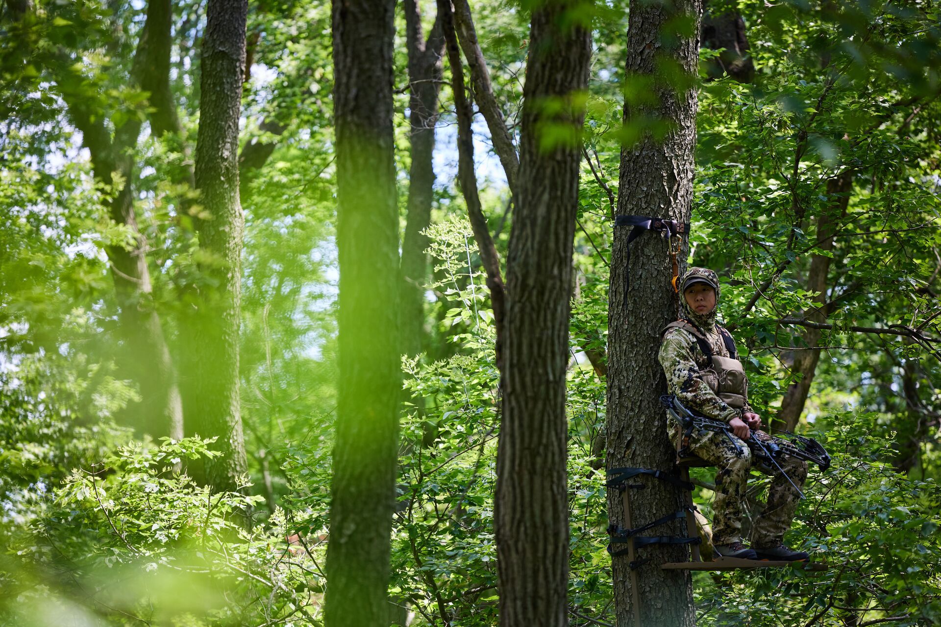 Hunter sits in a tree for early season hunt, lightweight hunting clothes concept.