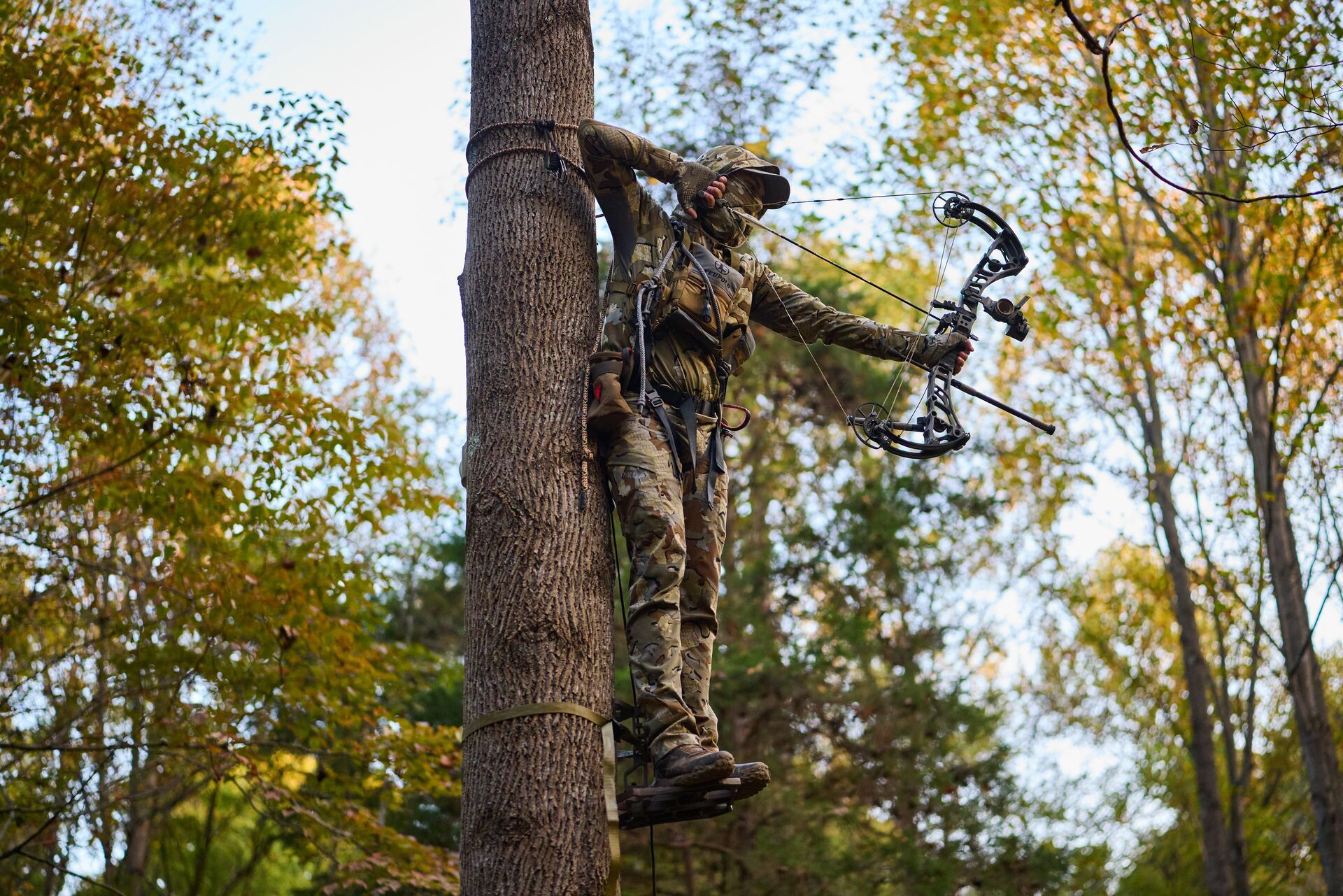 Hunter in tree draws a bow, what's the best place to shoot a deer with a bow concept. 