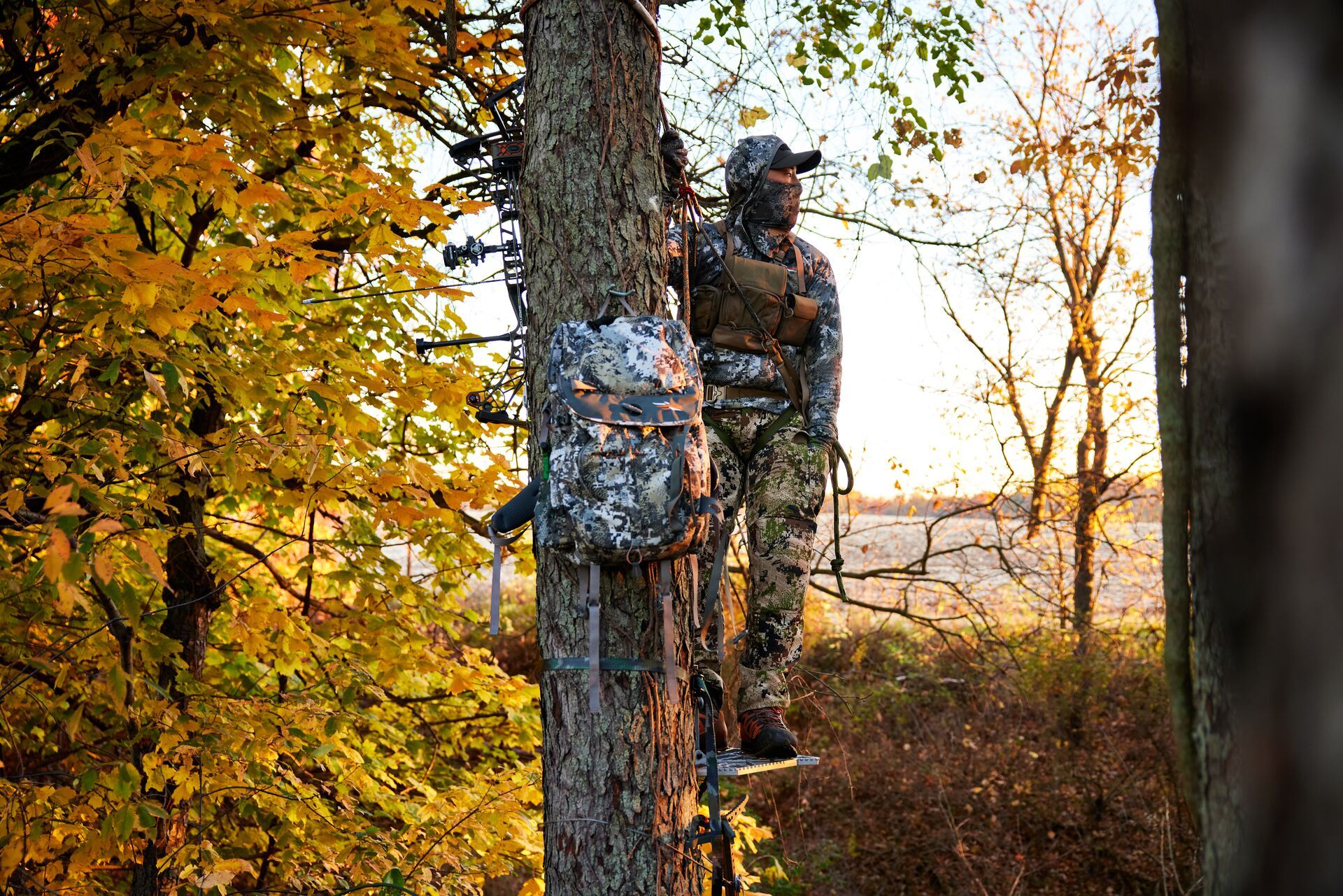 A hunter in a tree during deer season. 