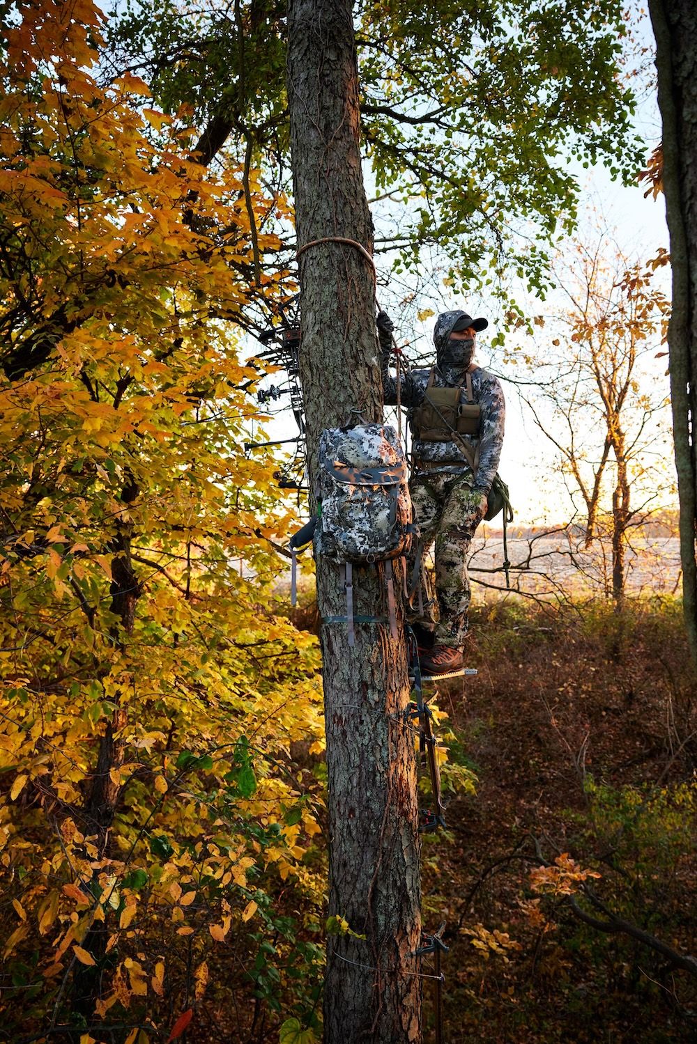 Hunter looking around from a tree saddle. 