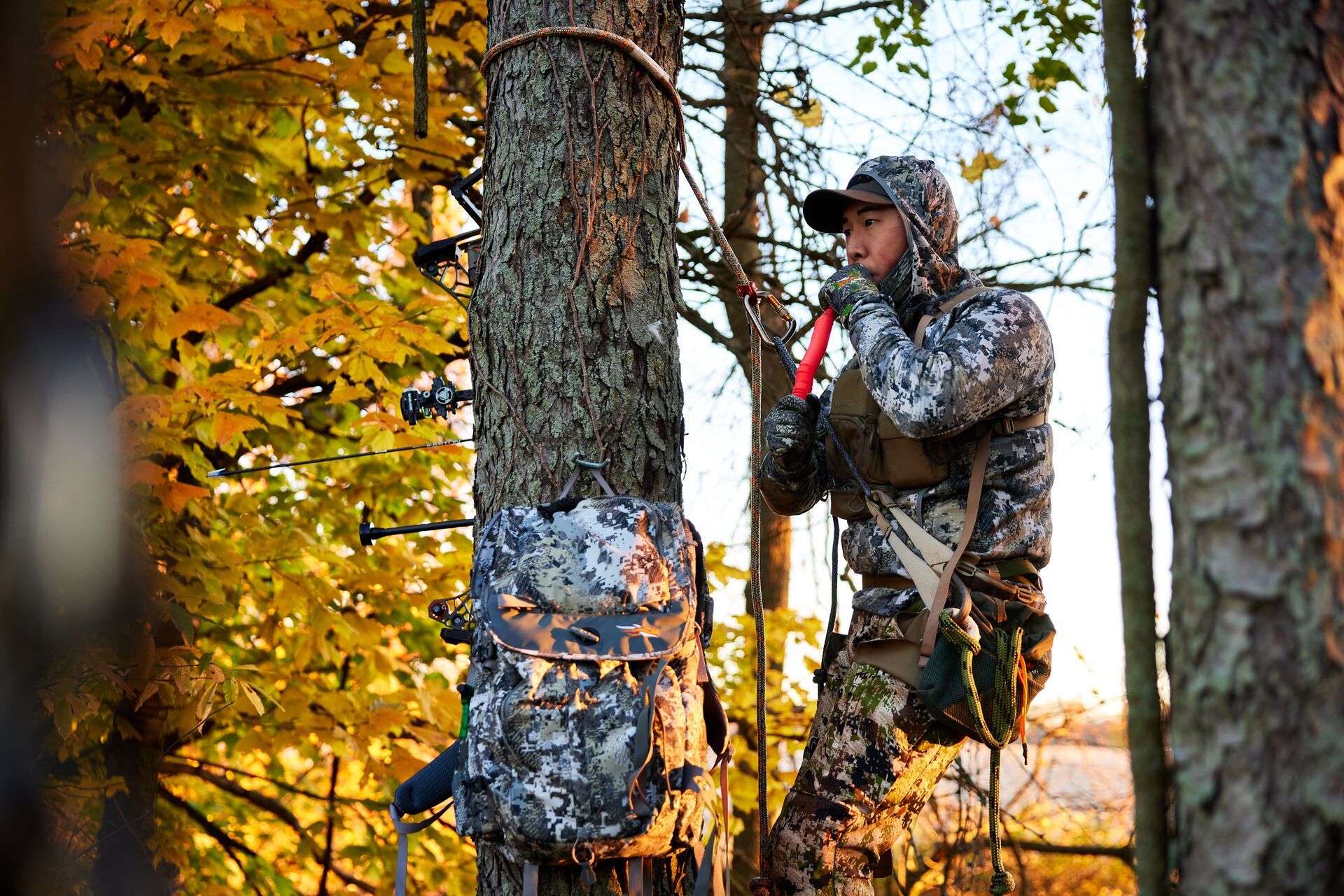 Hunter in tree stand using deer grunt call. 