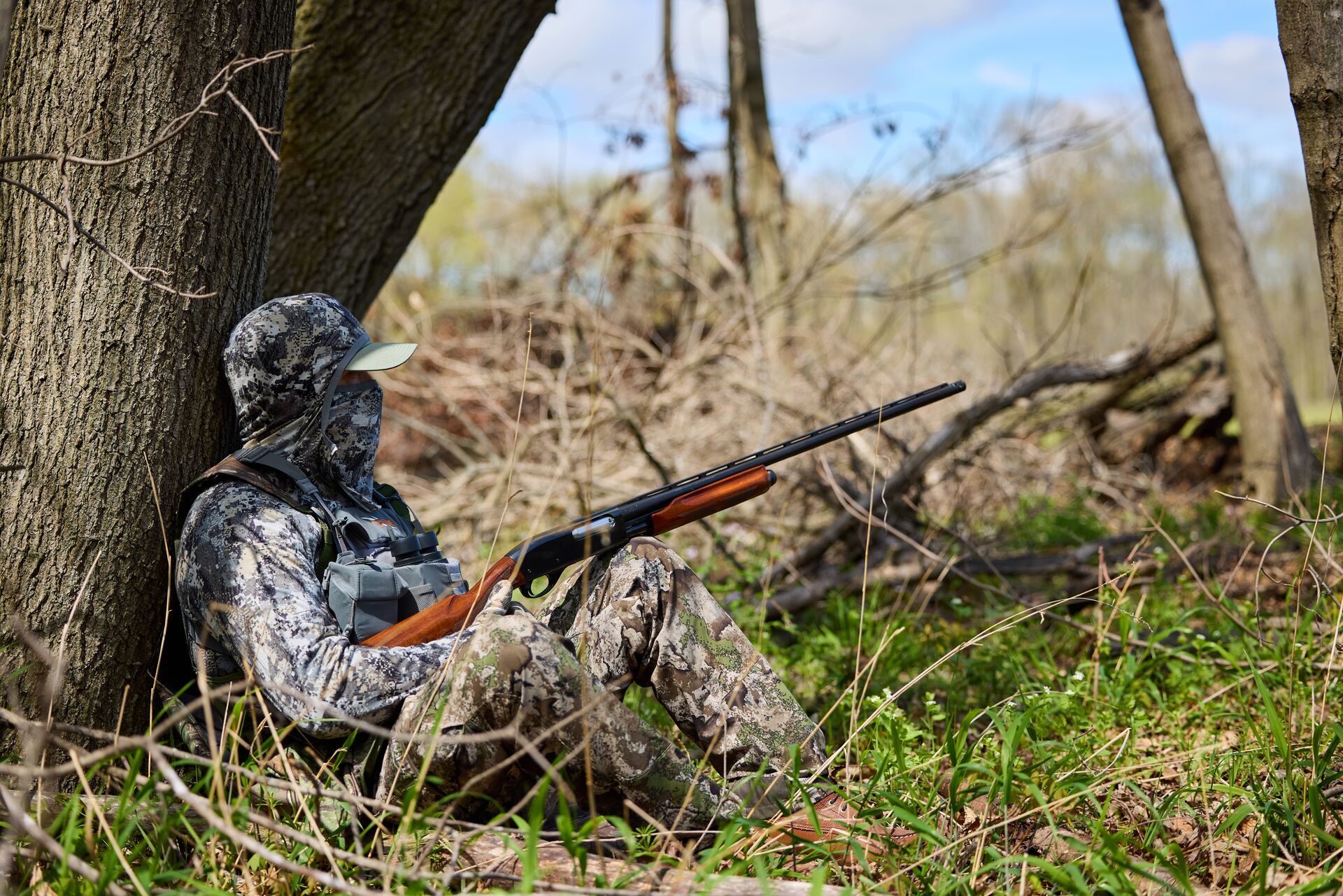 Hunter in turkey gear with shotgun set up against tree, Colorado turkey hunting concept. 