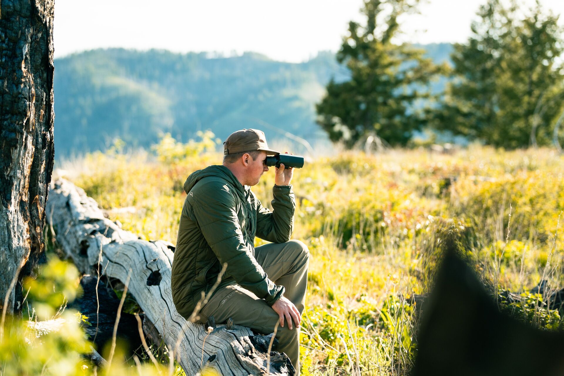 Hunter sits on log uses binoculars, hunting elk concept.