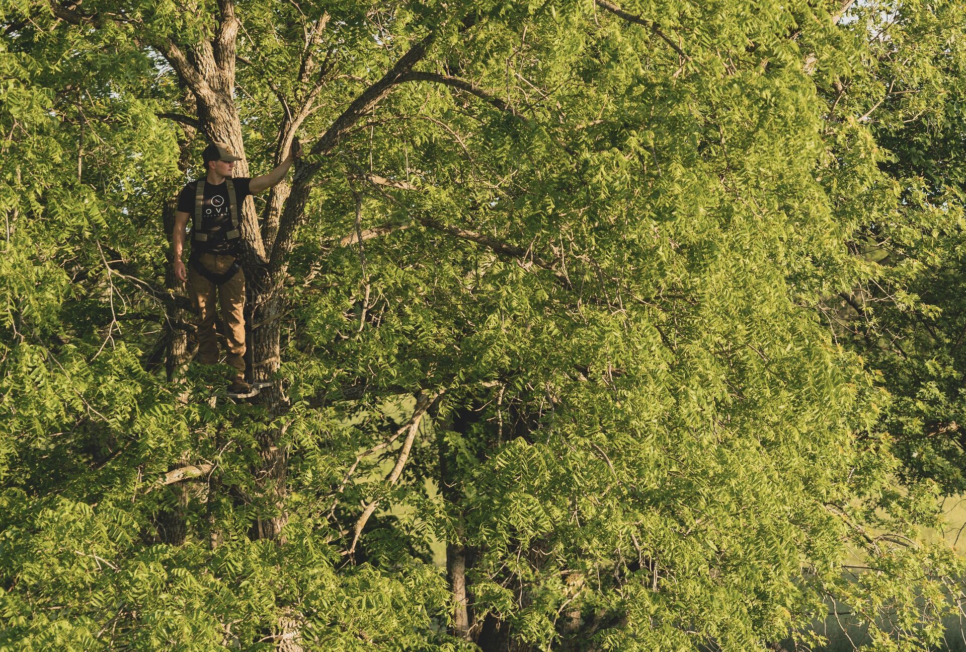 A hunter high in a tree stand. 