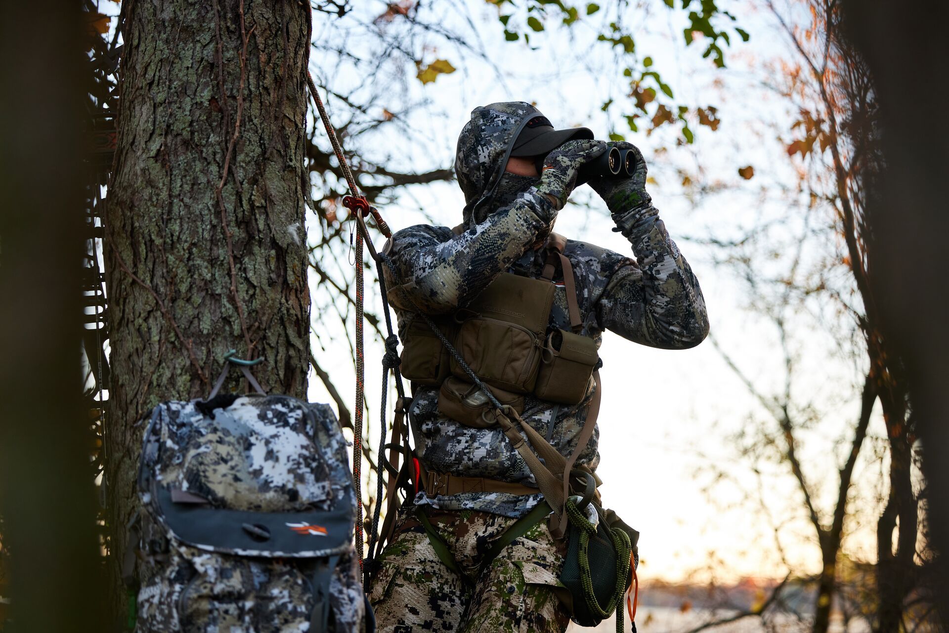 Hunter in tree saddle using binoculars. 