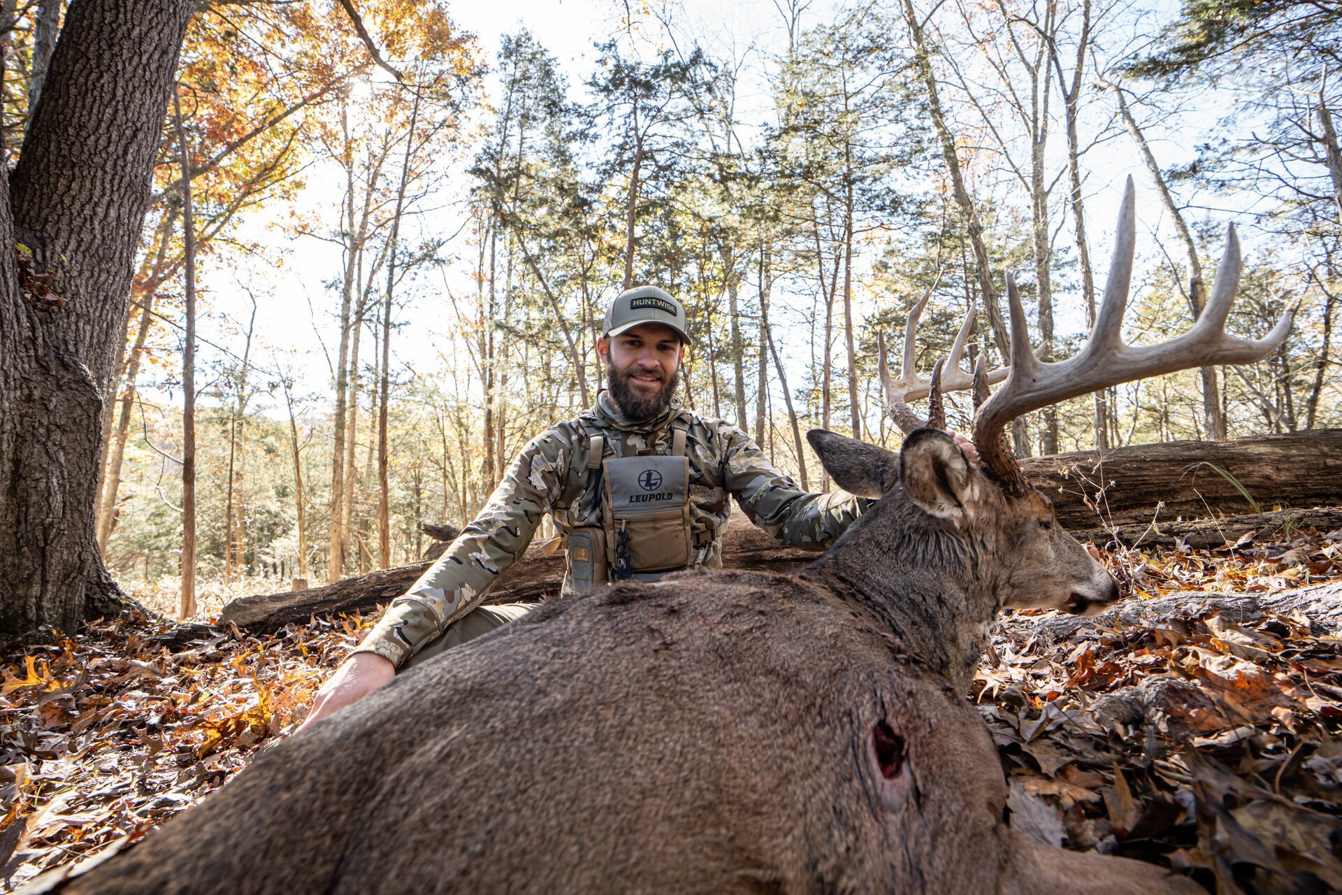 Hunter with deer on ground showing kill shot, deer shot placement concept. 
