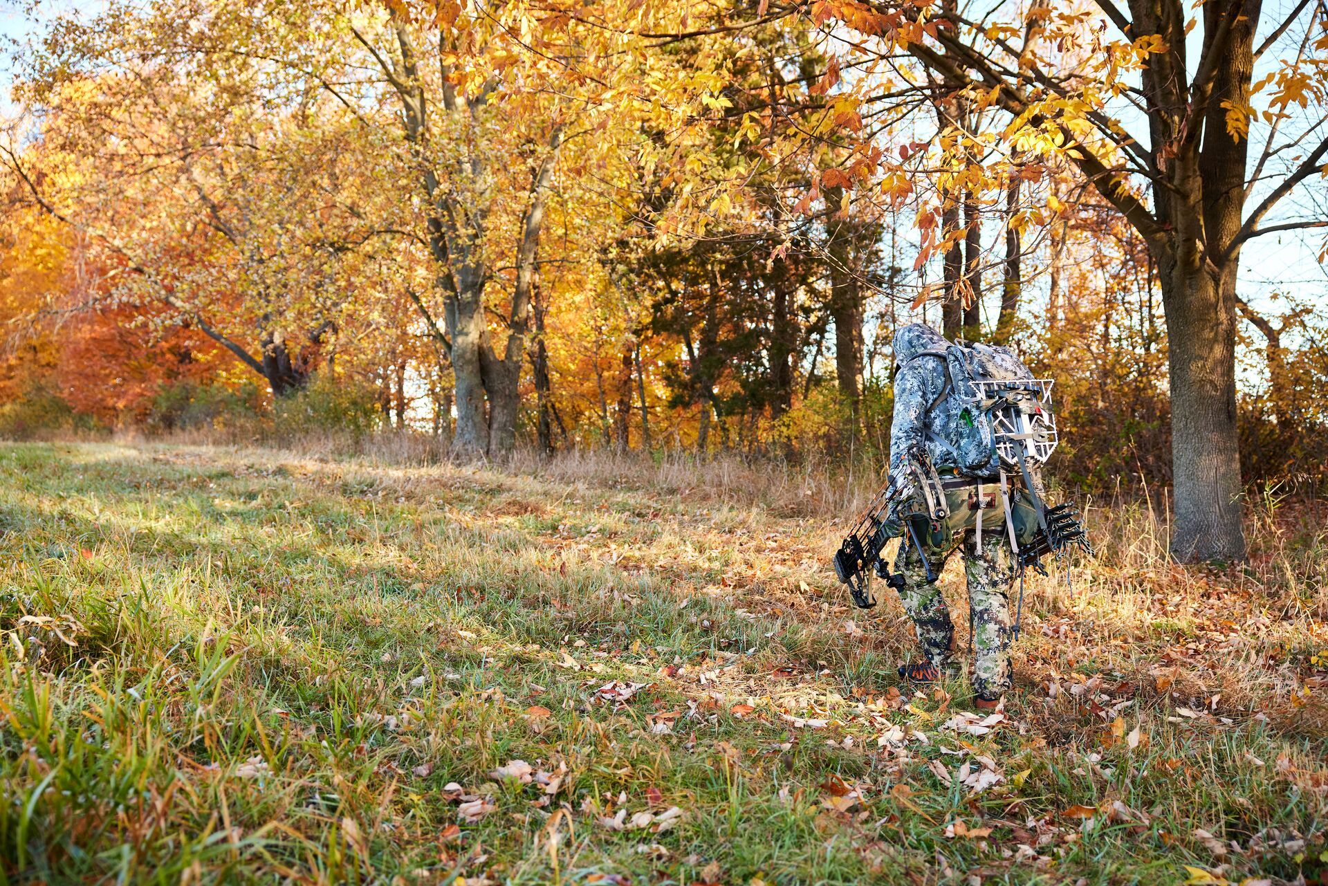 A hunter carries gear onto land with permission to hunt. 