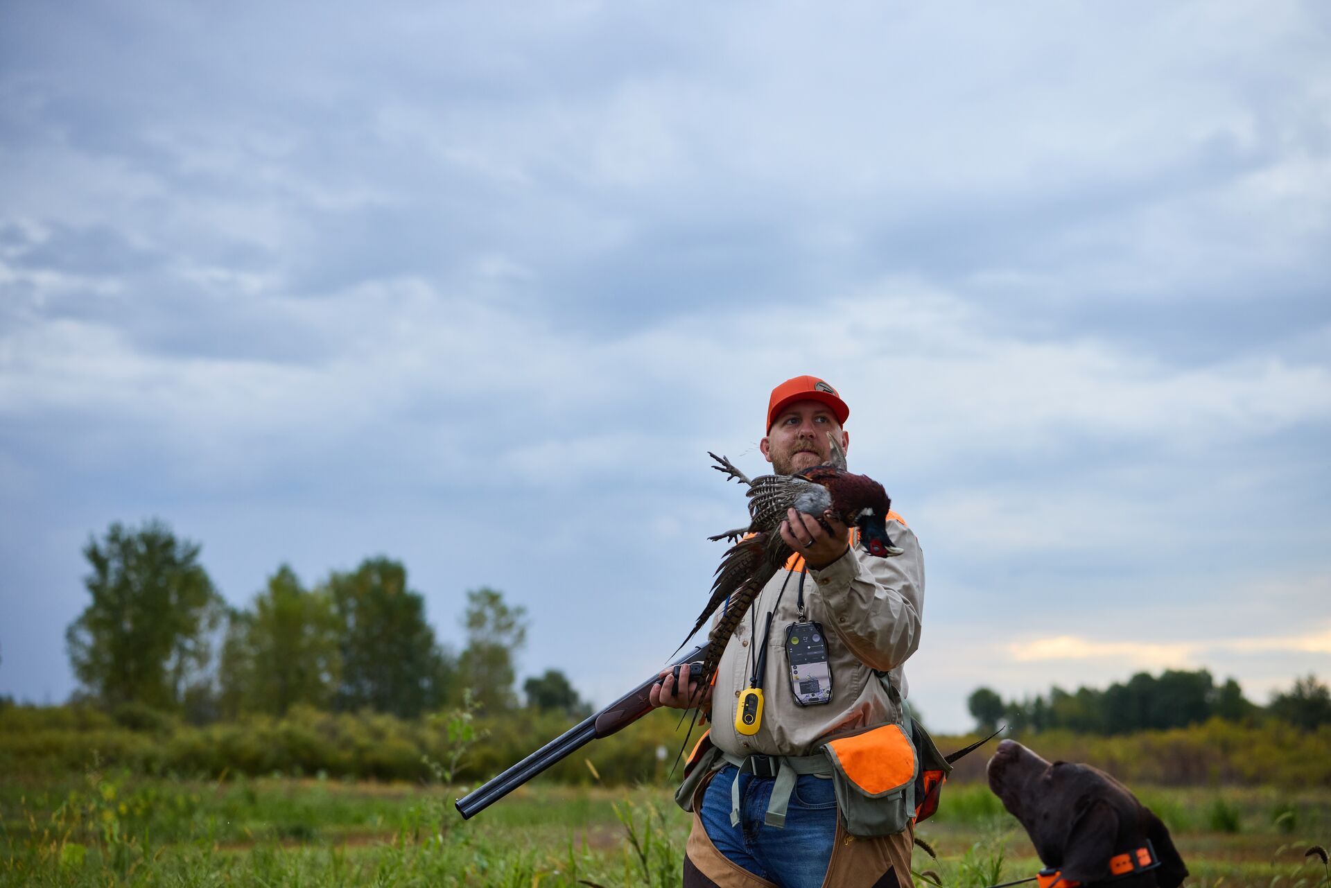 Hunter with pheasant in hand against dark skies, pheasant hunting in rain concept.