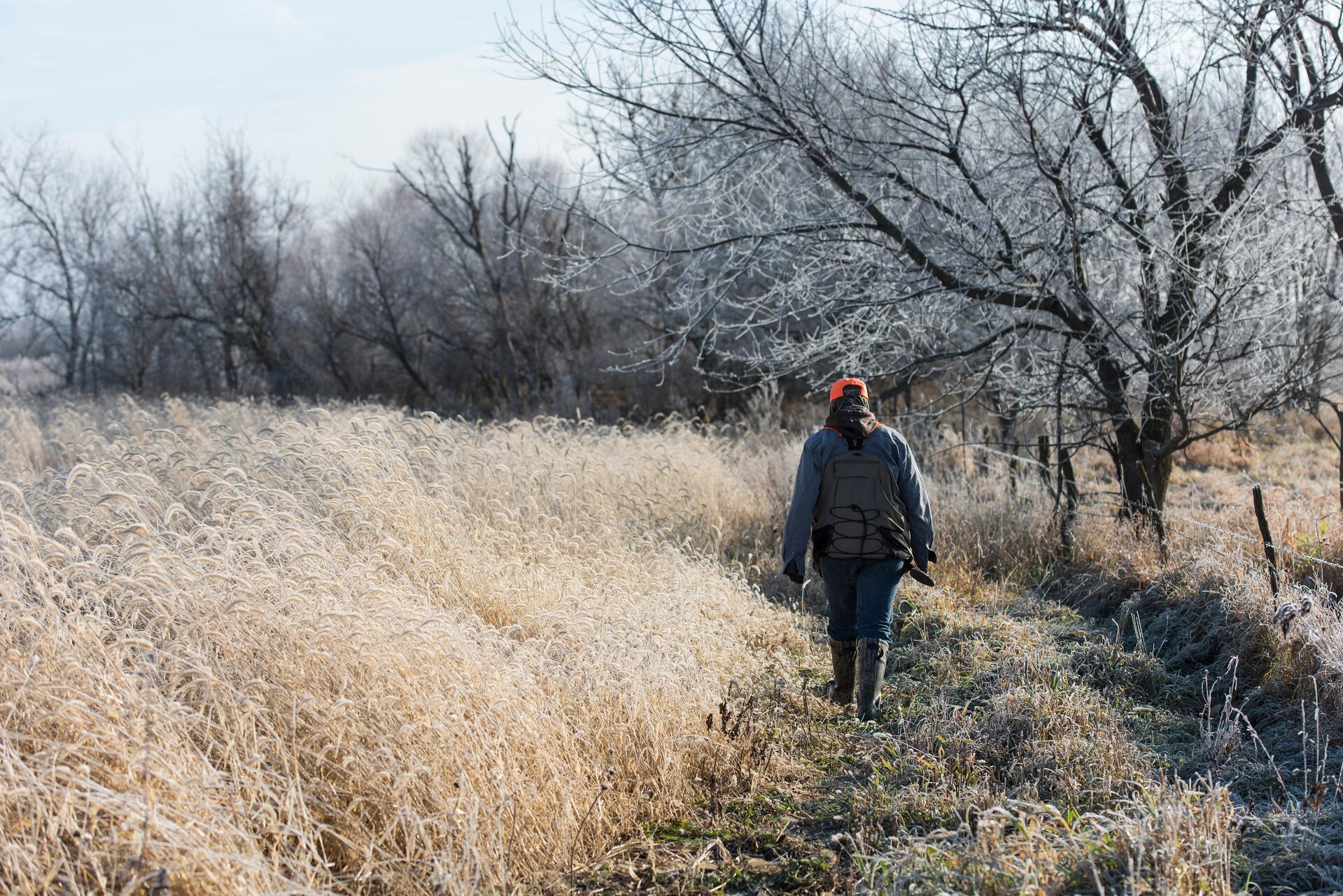 Hunter walking in field of tall grass, starling hunting tips concept. 
