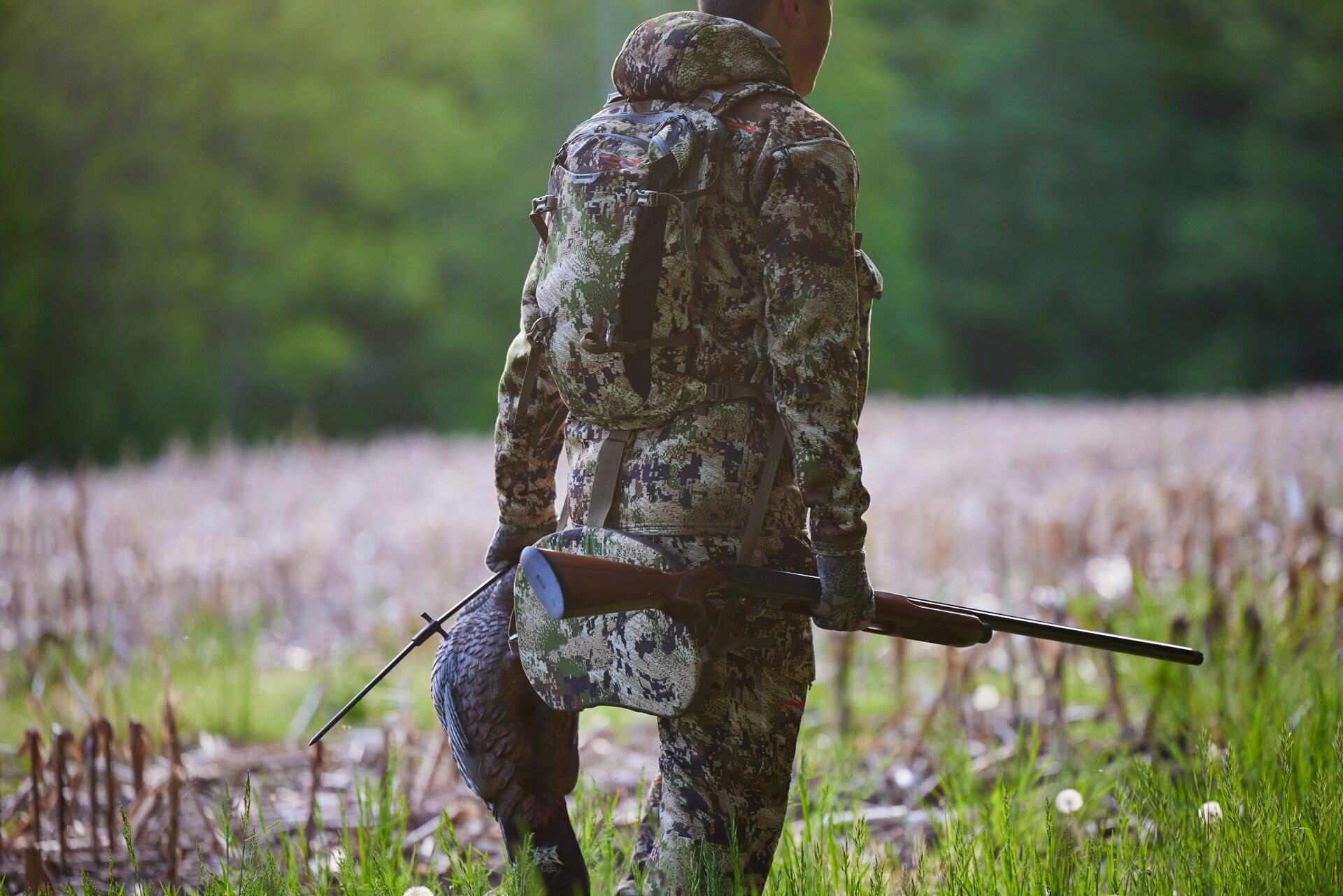 A hunter carries a turkey decoy.