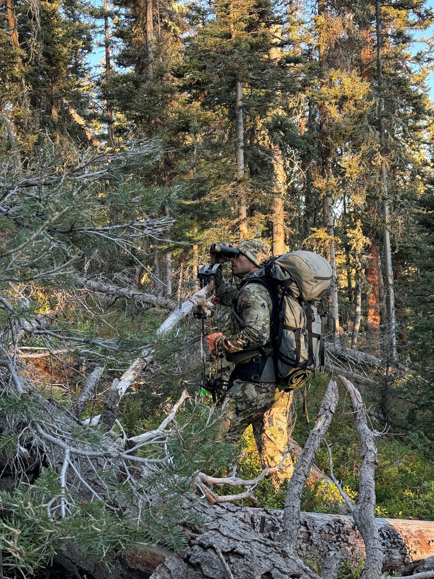 Hunters using binoculars in the woods, over the counter elk tags concept. 