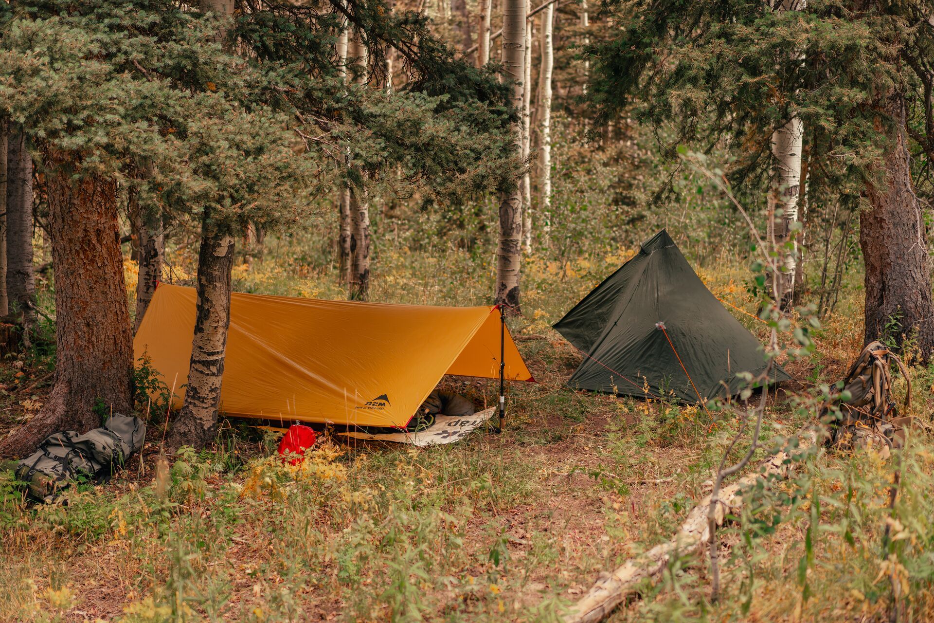 Wide view of a hunting camp in the woods.